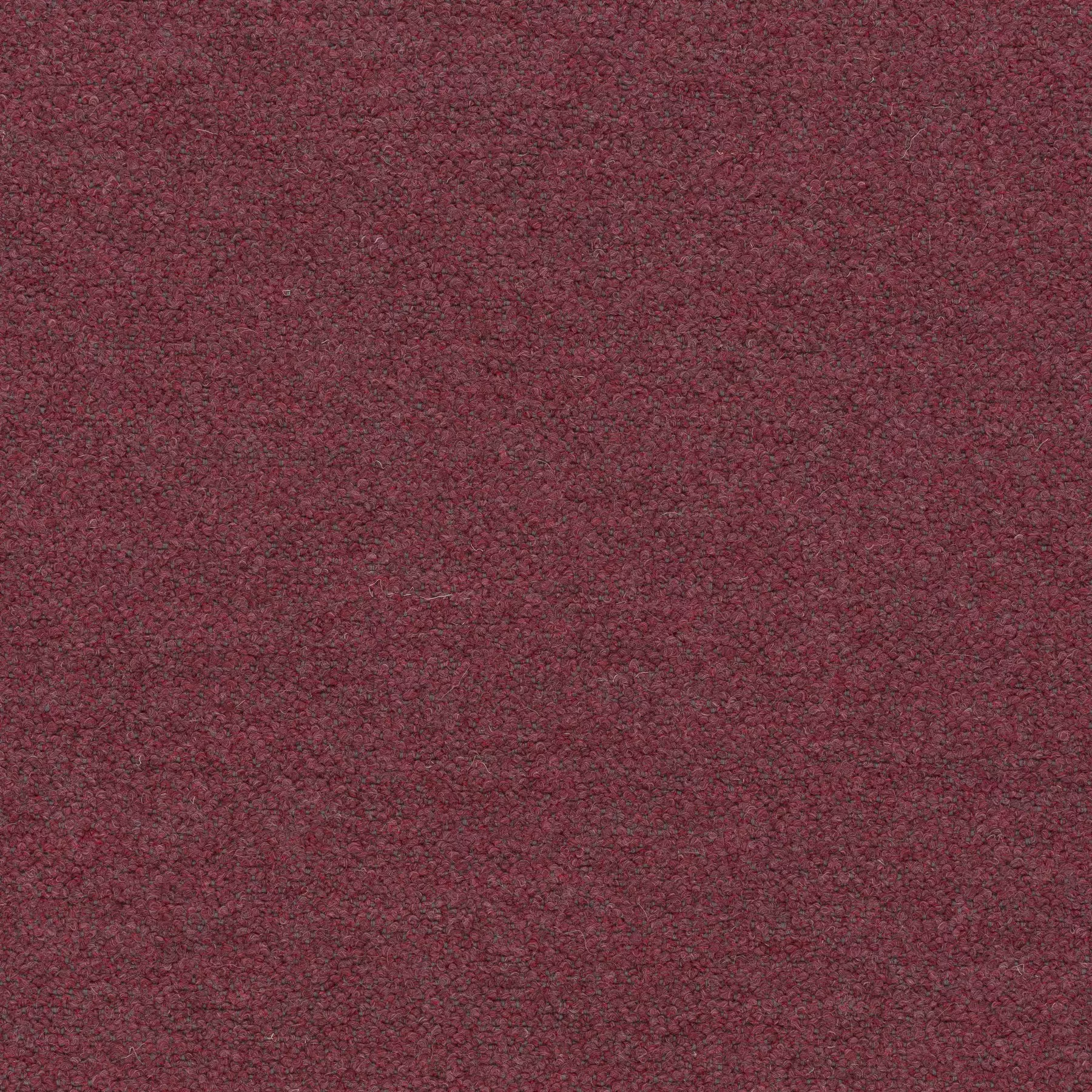 View Ascendent | CA1610/010 Ascendent | CA1610/010