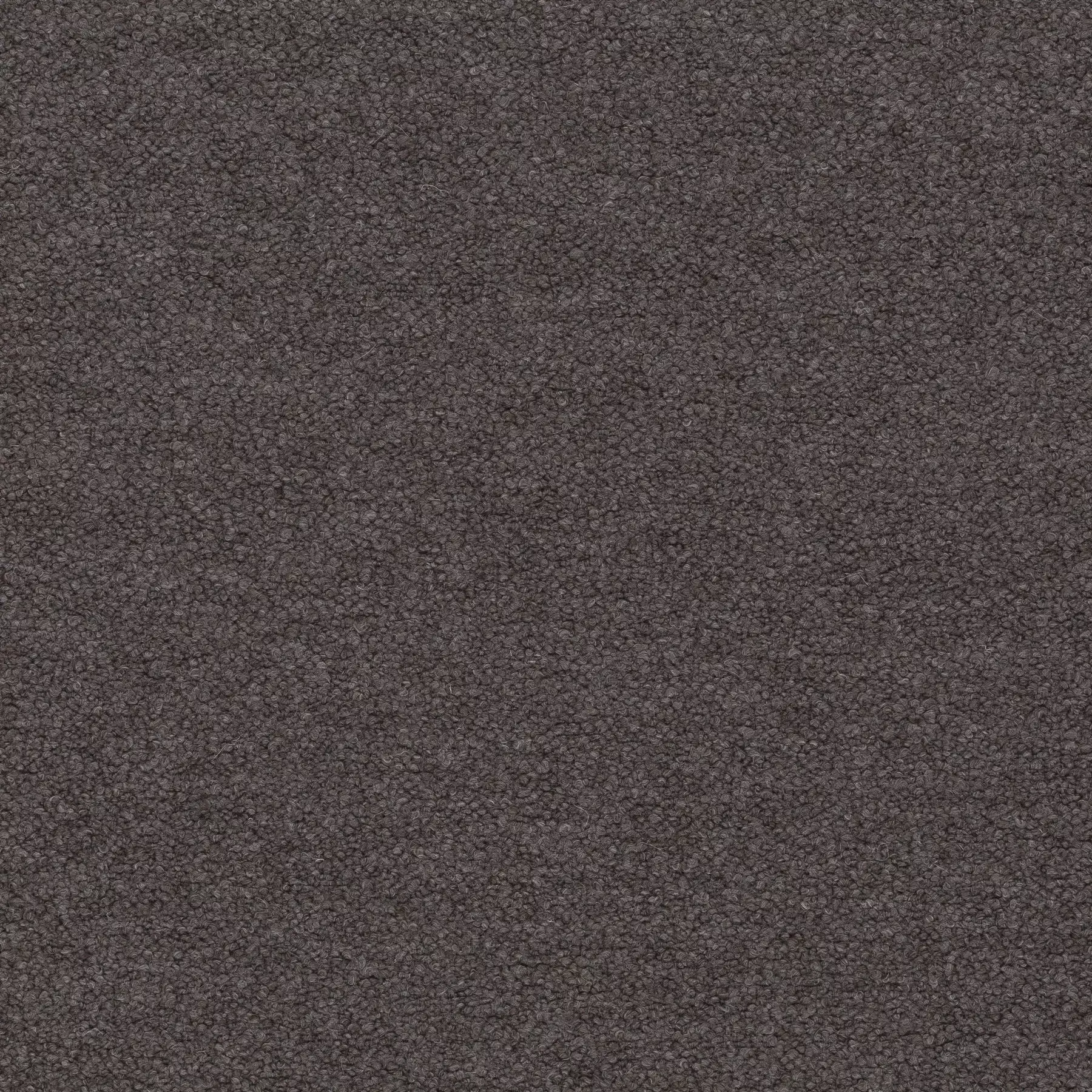 View Ascendent | CA1610/021 Ascendent | CA1610/021