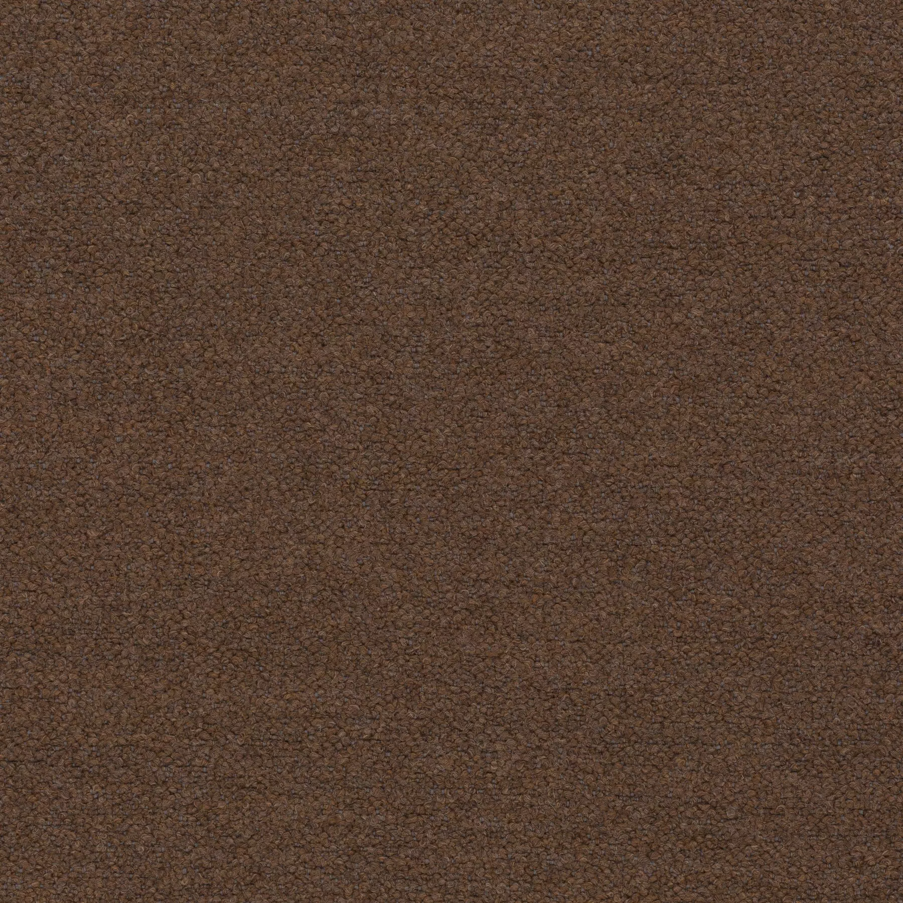 View Ascendent | CA1610/022 Ascendent | CA1610/022