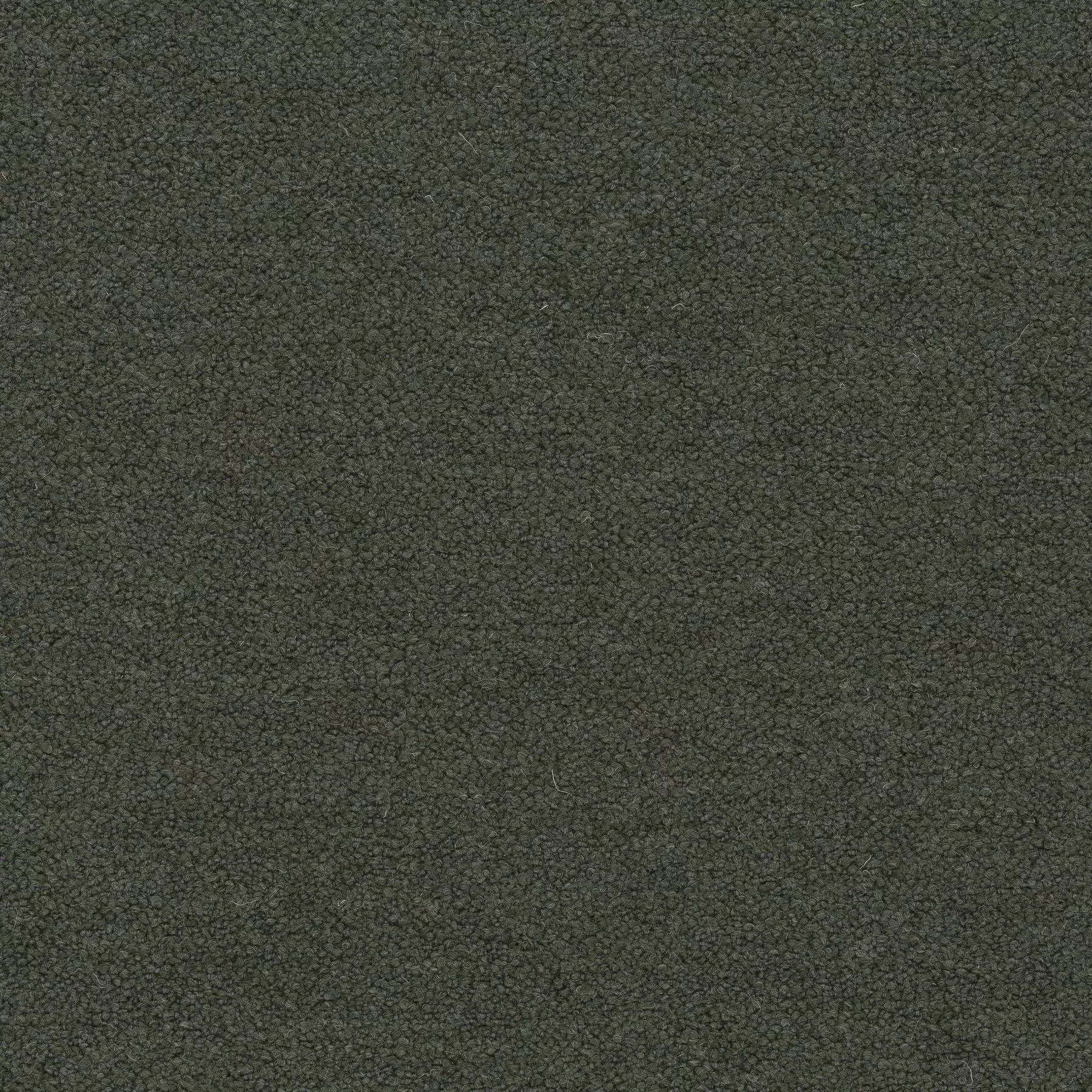 View Ascendent | CA1610/031 Ascendent | CA1610/031