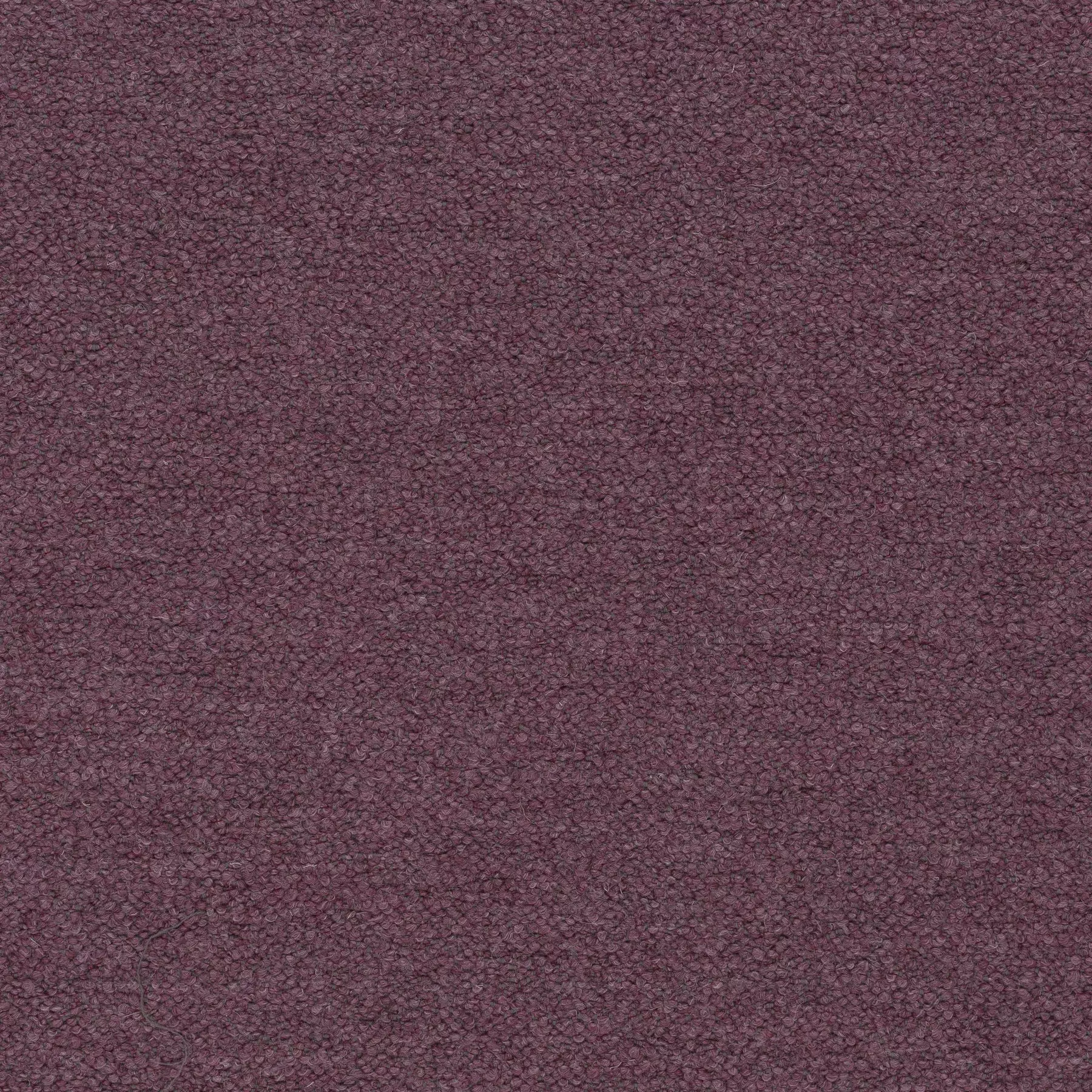 View Ascendent | CA1610/080 Ascendent | CA1610/080