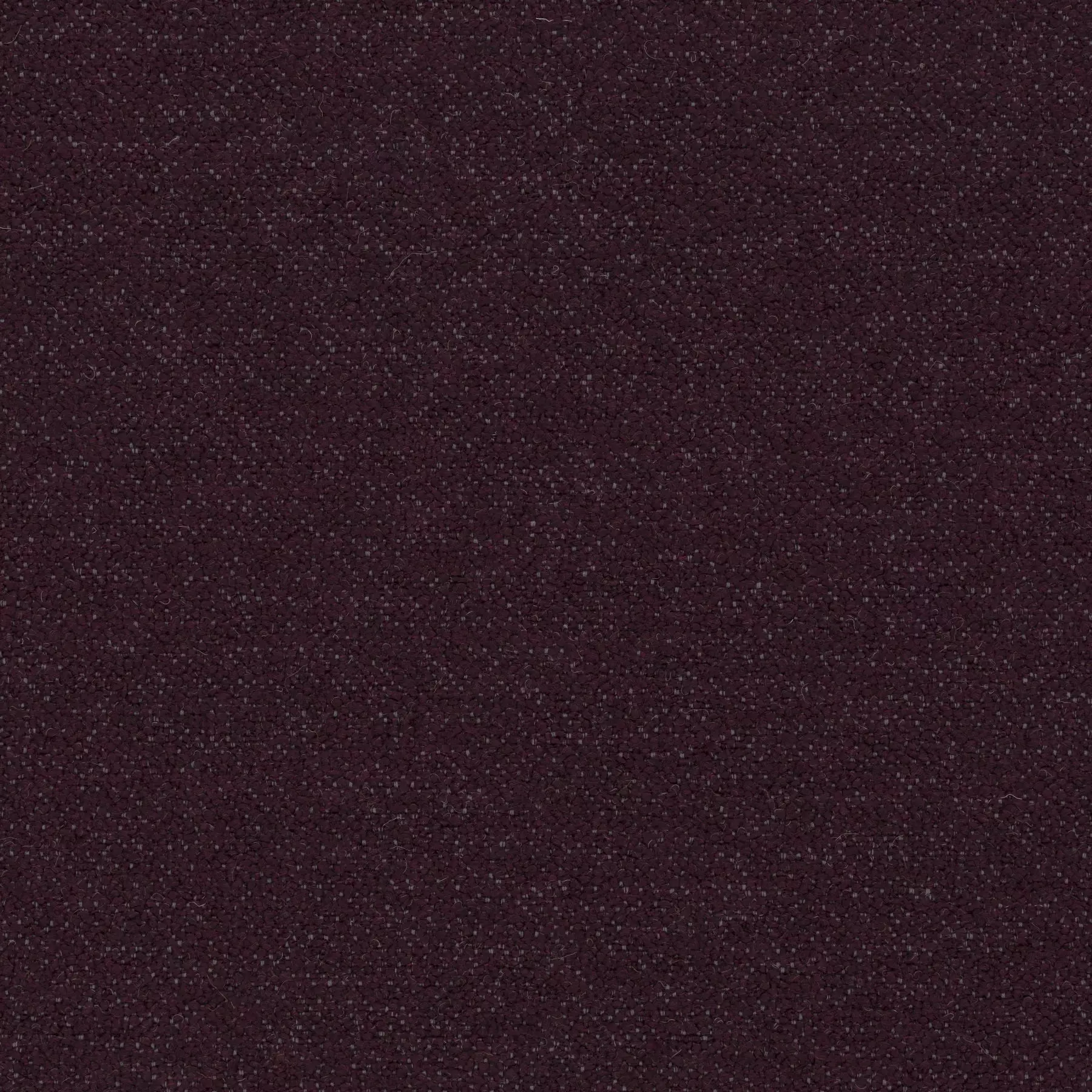View Ascendent | CA1610/081 Ascendent | CA1610/081