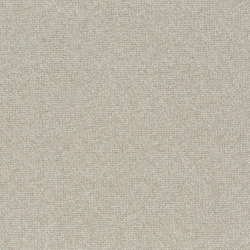 Bonsai Reboot - CH2955/171