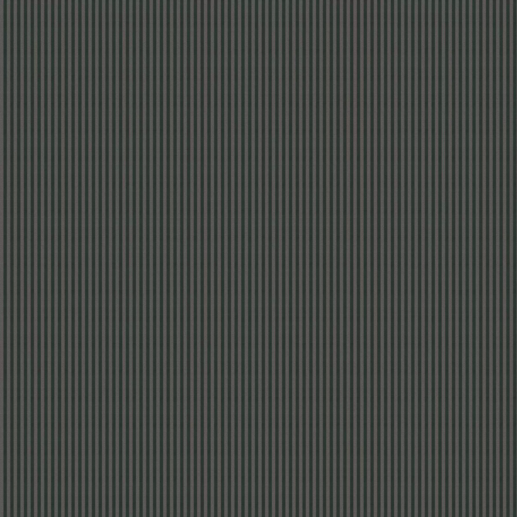 View Carbonic | CA1586/030 Carbonic | CA1586/030