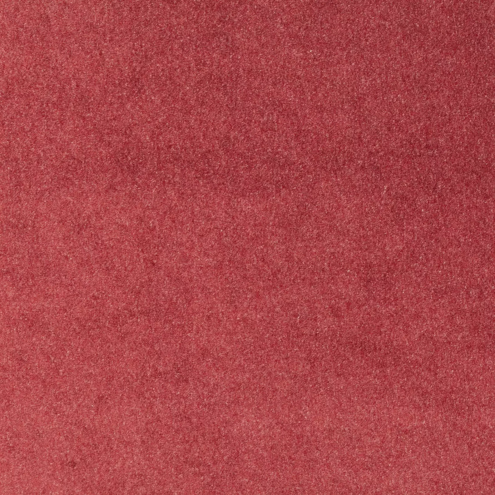 Eternal Velvet | CA1540/011
