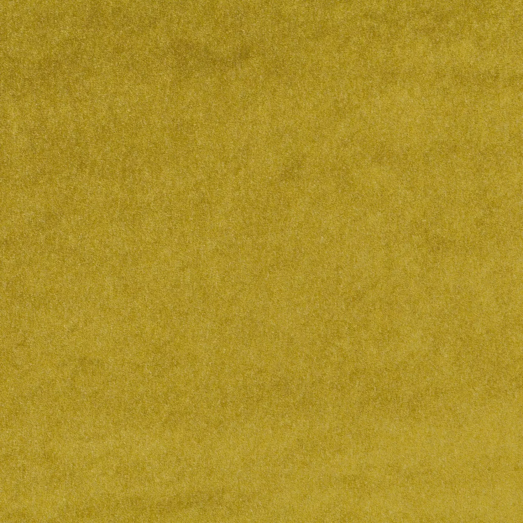 Eternal Velvet | CA1540/030