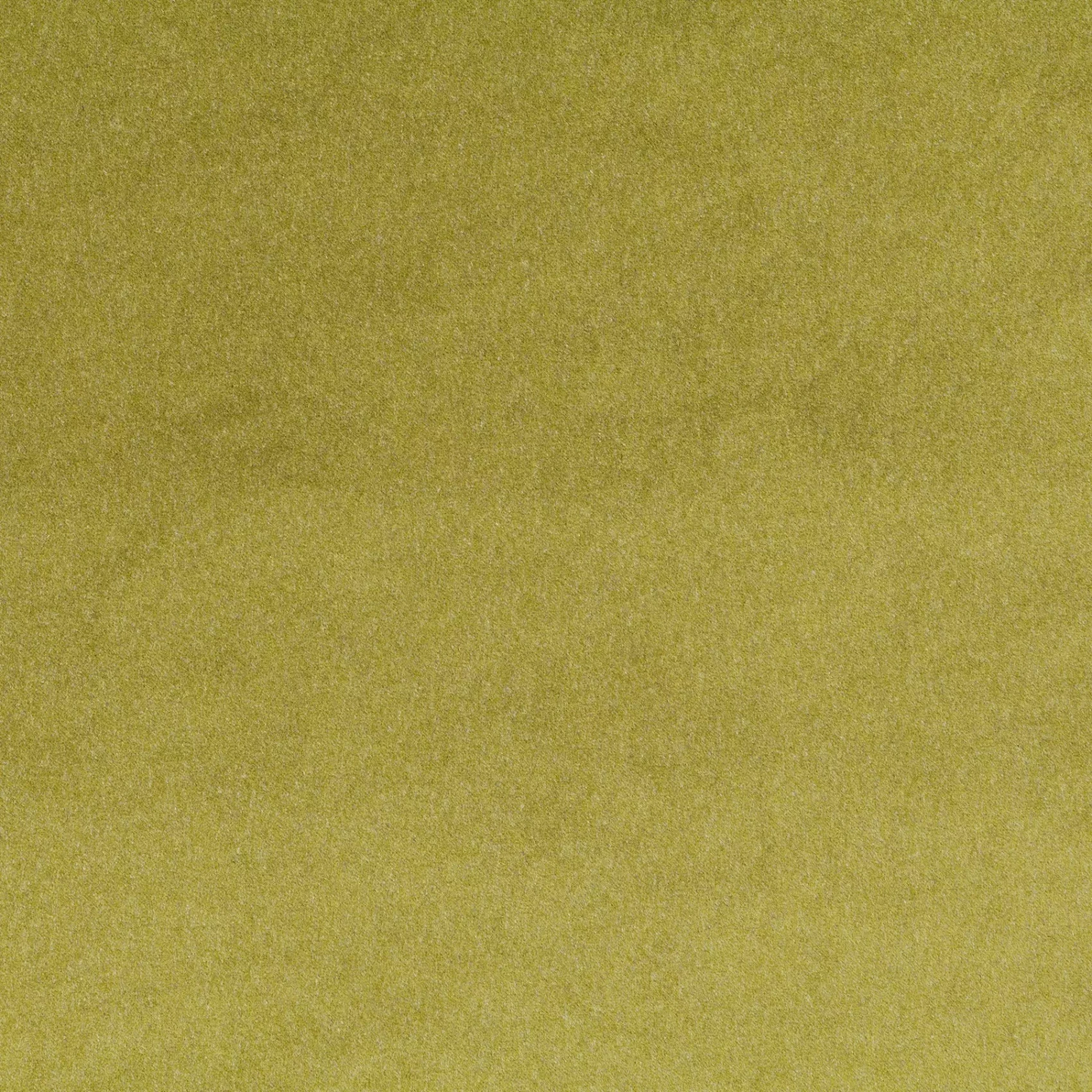 Eternal Velvet | CA1540/031