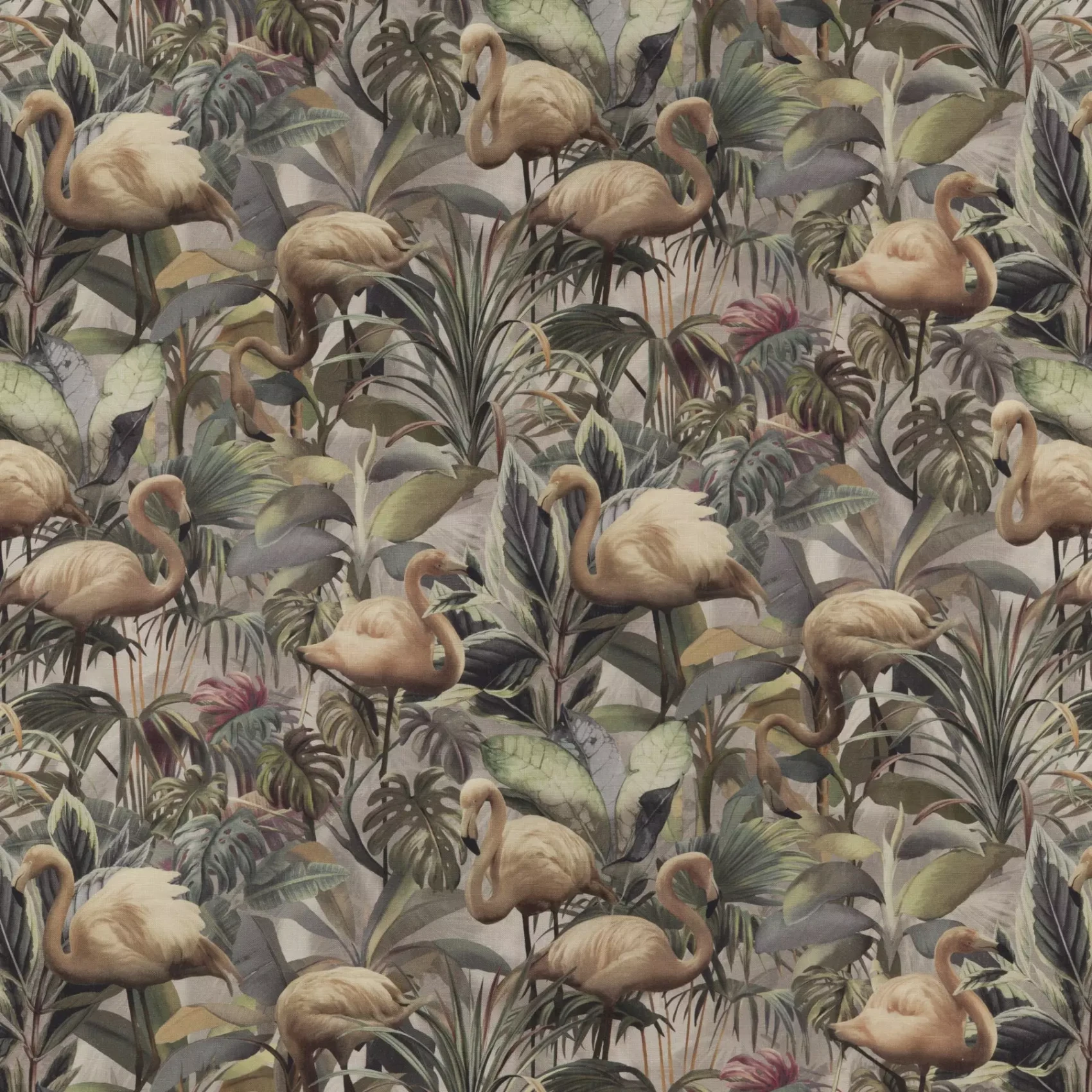 Flamingo Botanico | CA1442/070