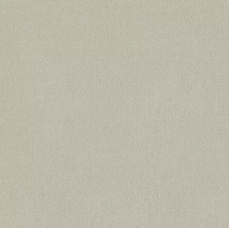 View Hi Velvet | 1507/131 Hi Velvet | 1507/131