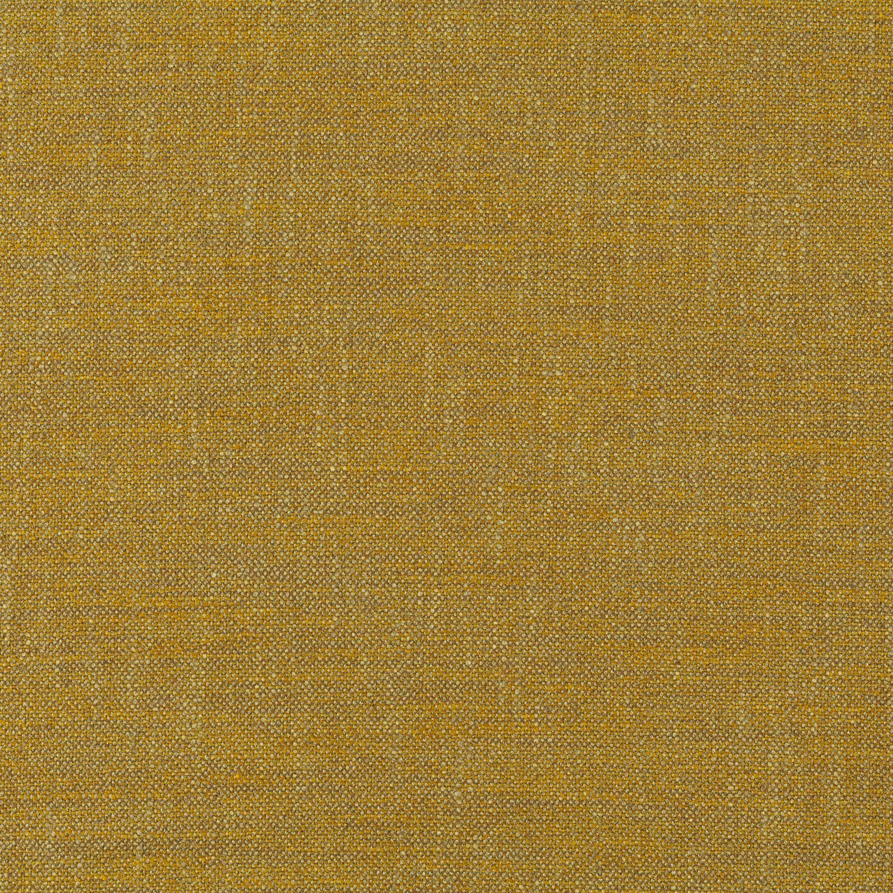 View Icon - CA1565/042 Icon - CA1565/042