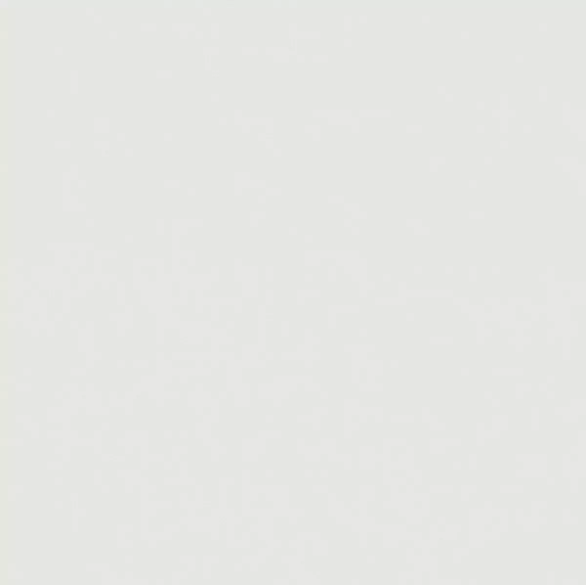 View New Moon Dimout | 1301.110 New Moon Dimout | 1301.110
