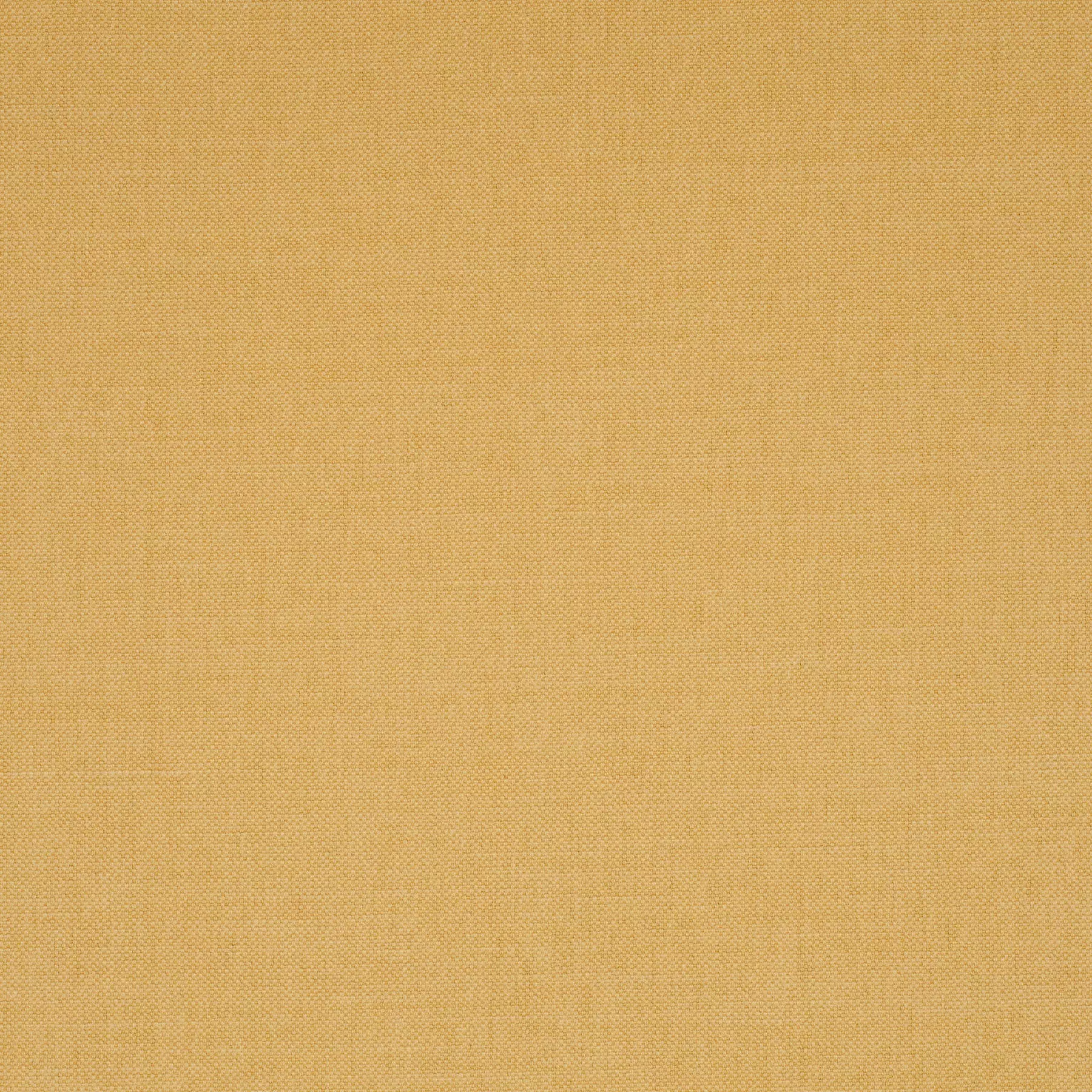 View Next - 301249/404 Next - 301249/404