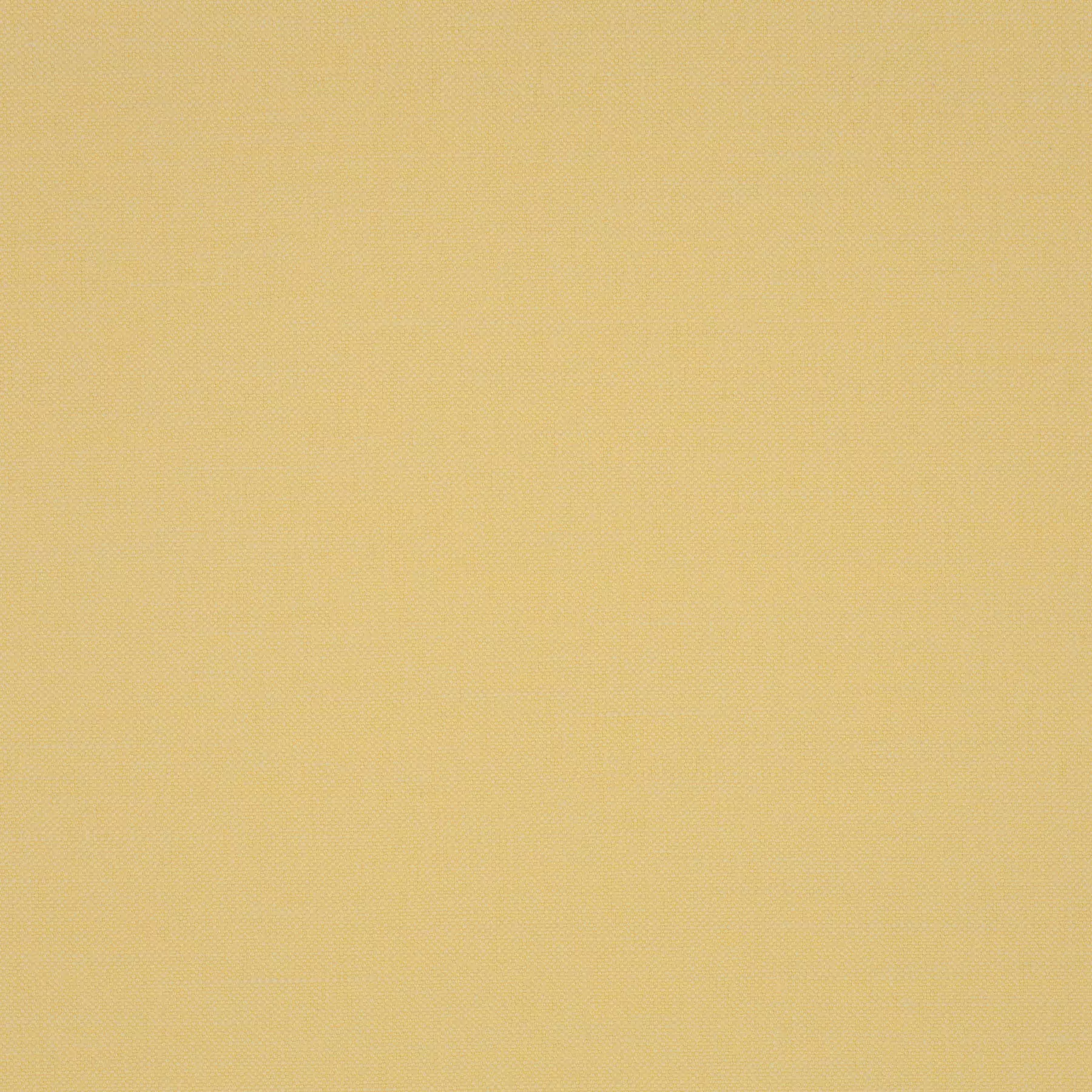 View Next - 301249/509 Next - 301249/509