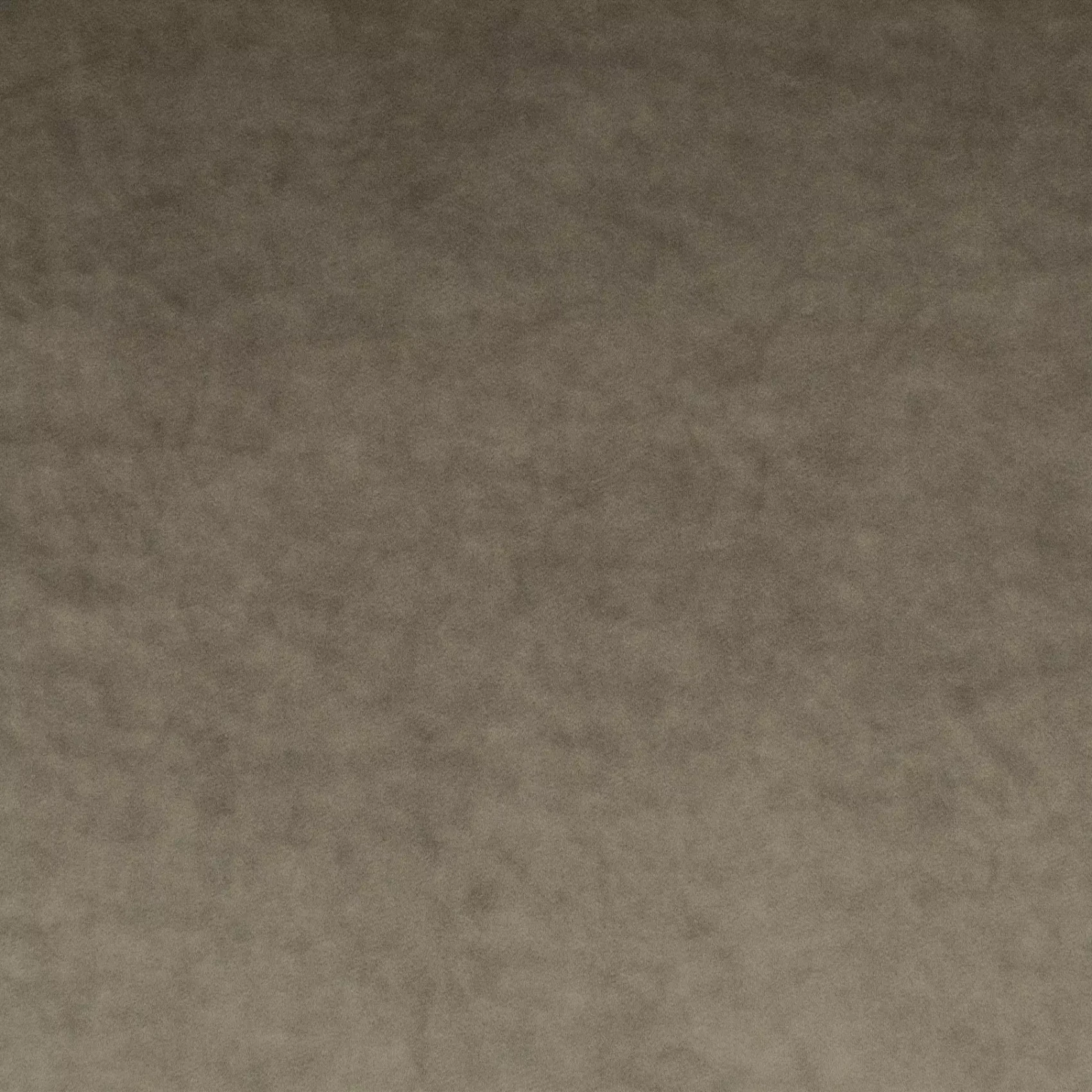 Palazzo Velvet | CA1175/071