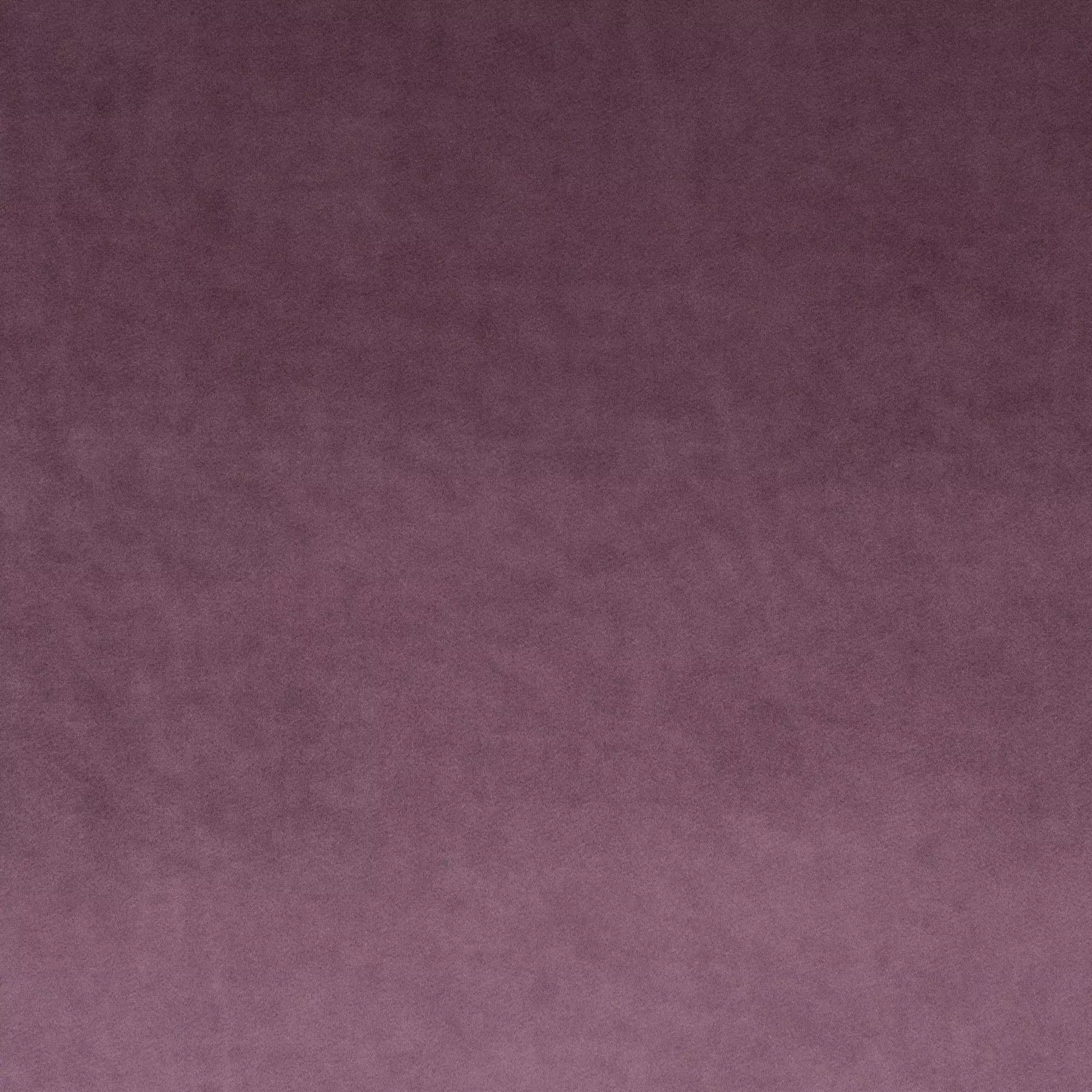 View Palazzo Velvet Reloaded | CA1175/085 Palazzo Velvet Reloaded | CA1175/085