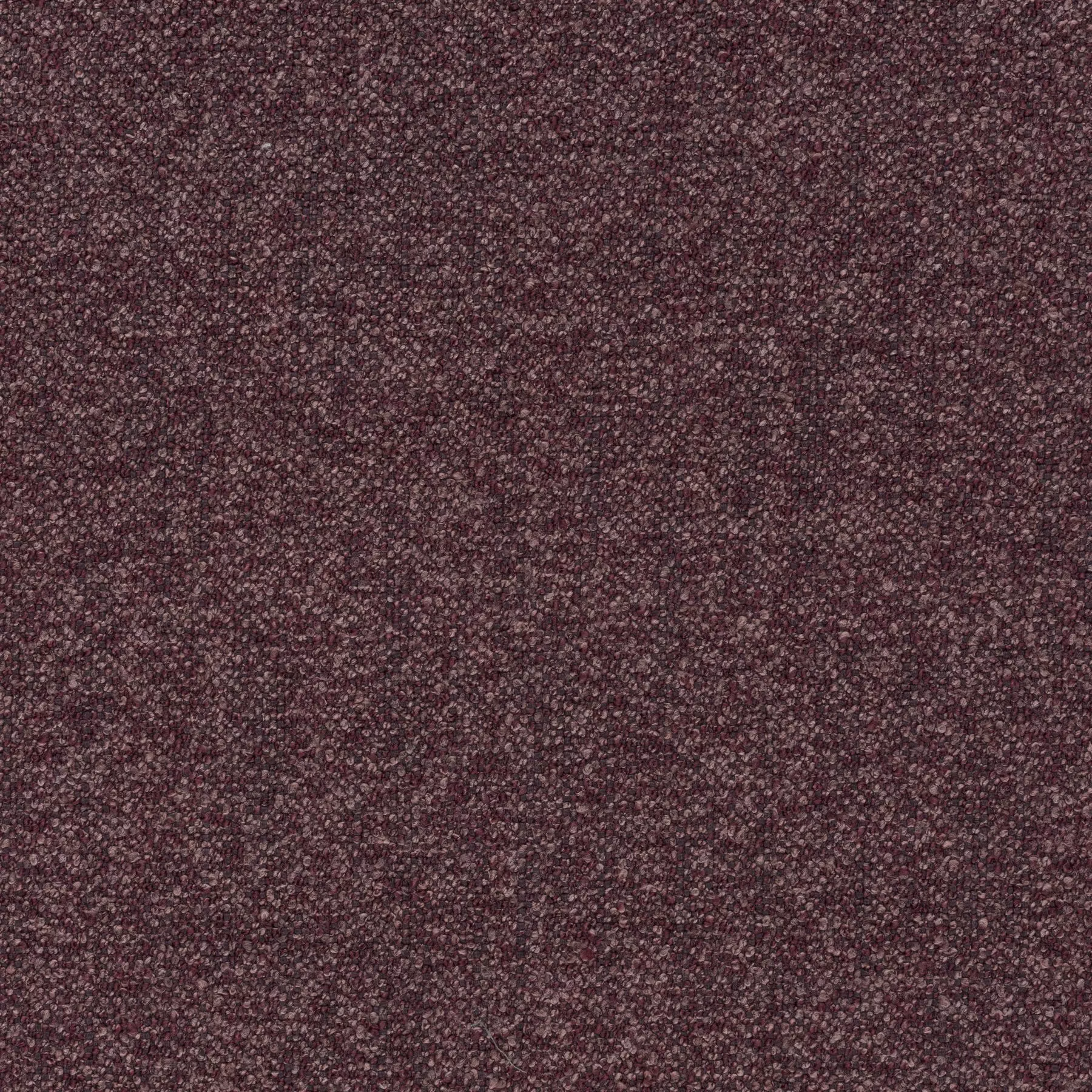 View Passion - CA1686/080 Passion - CA1686/080