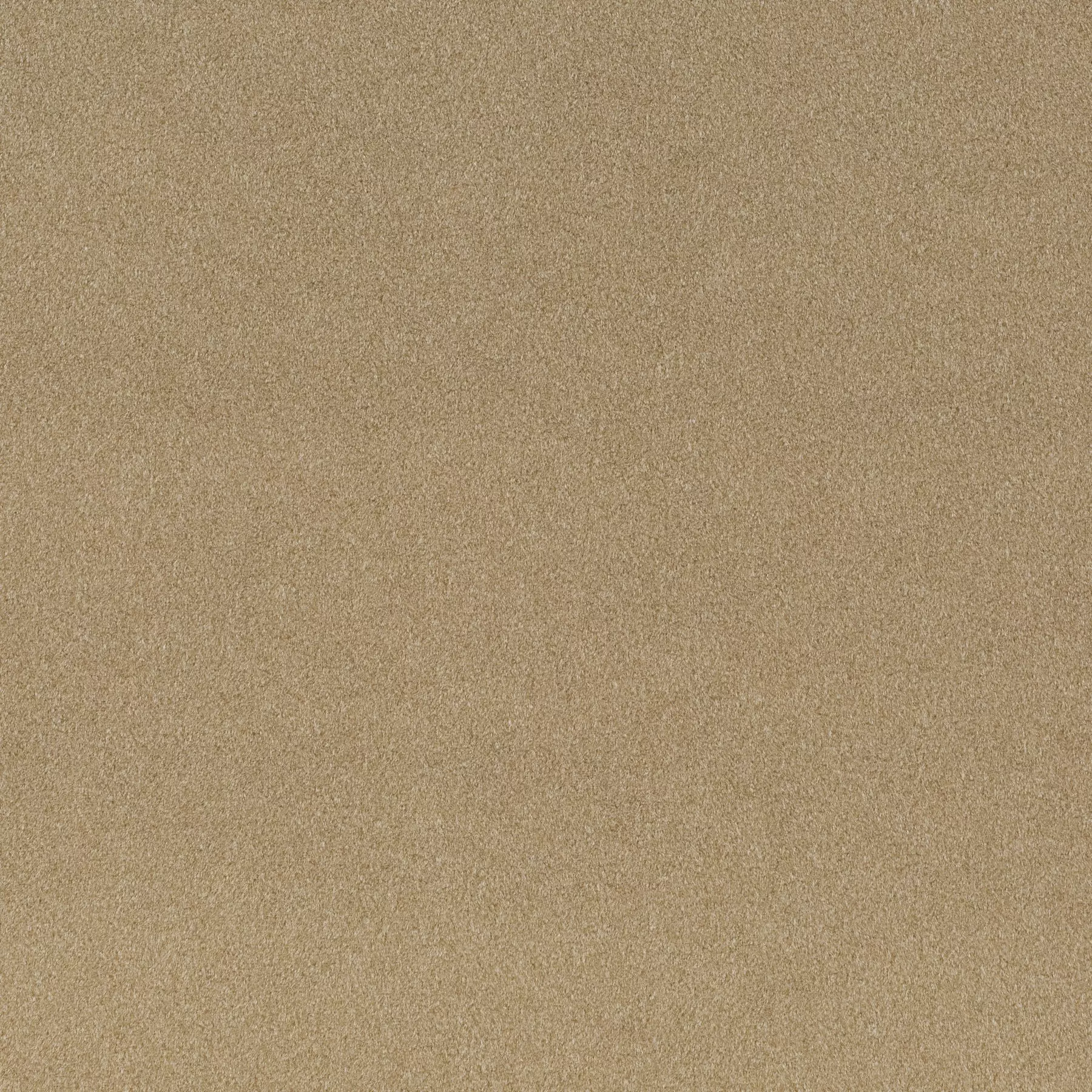 View Shallow - CH3090/021 Shallow - CH3090/021