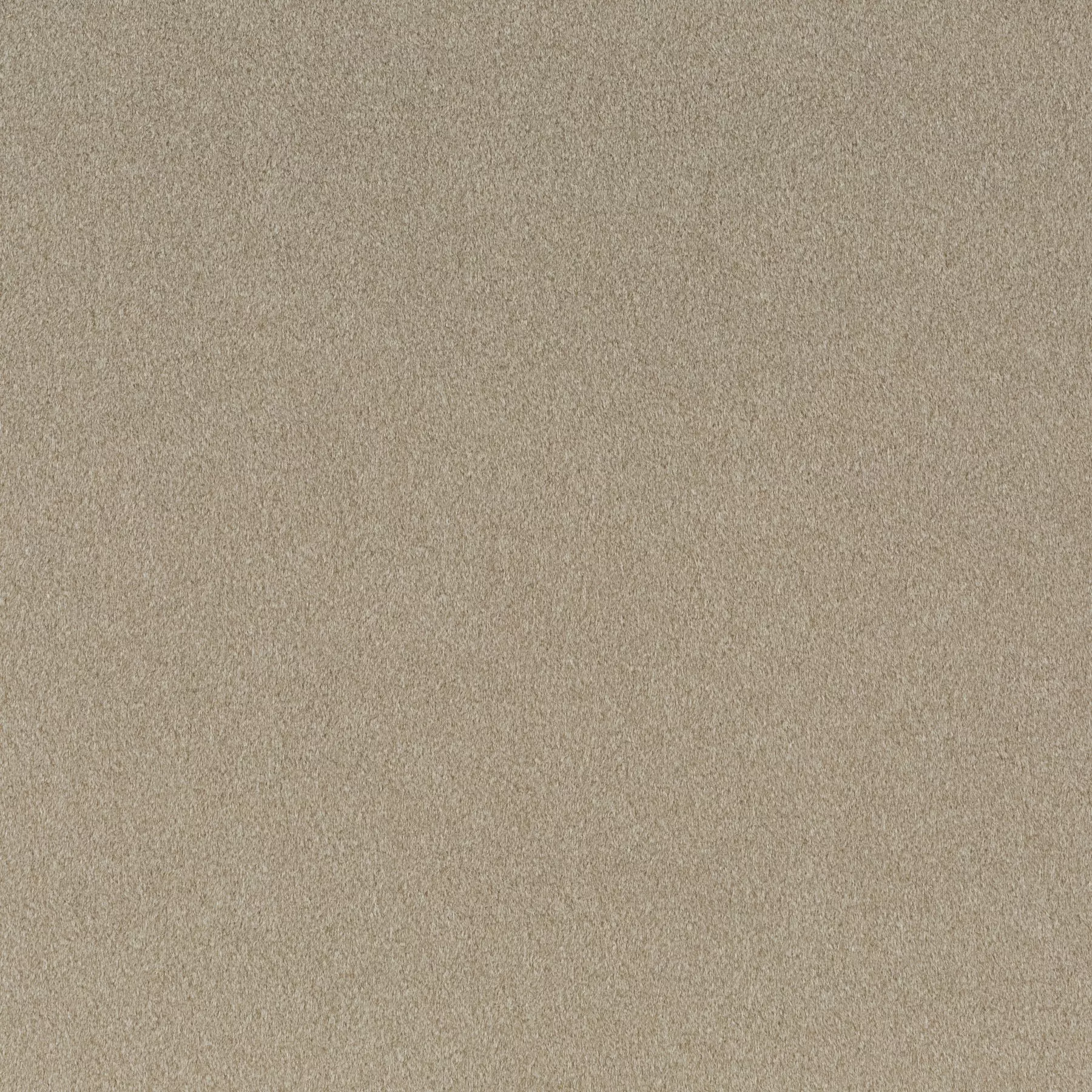 View Shallow - CH3090/023 Shallow - CH3090/023