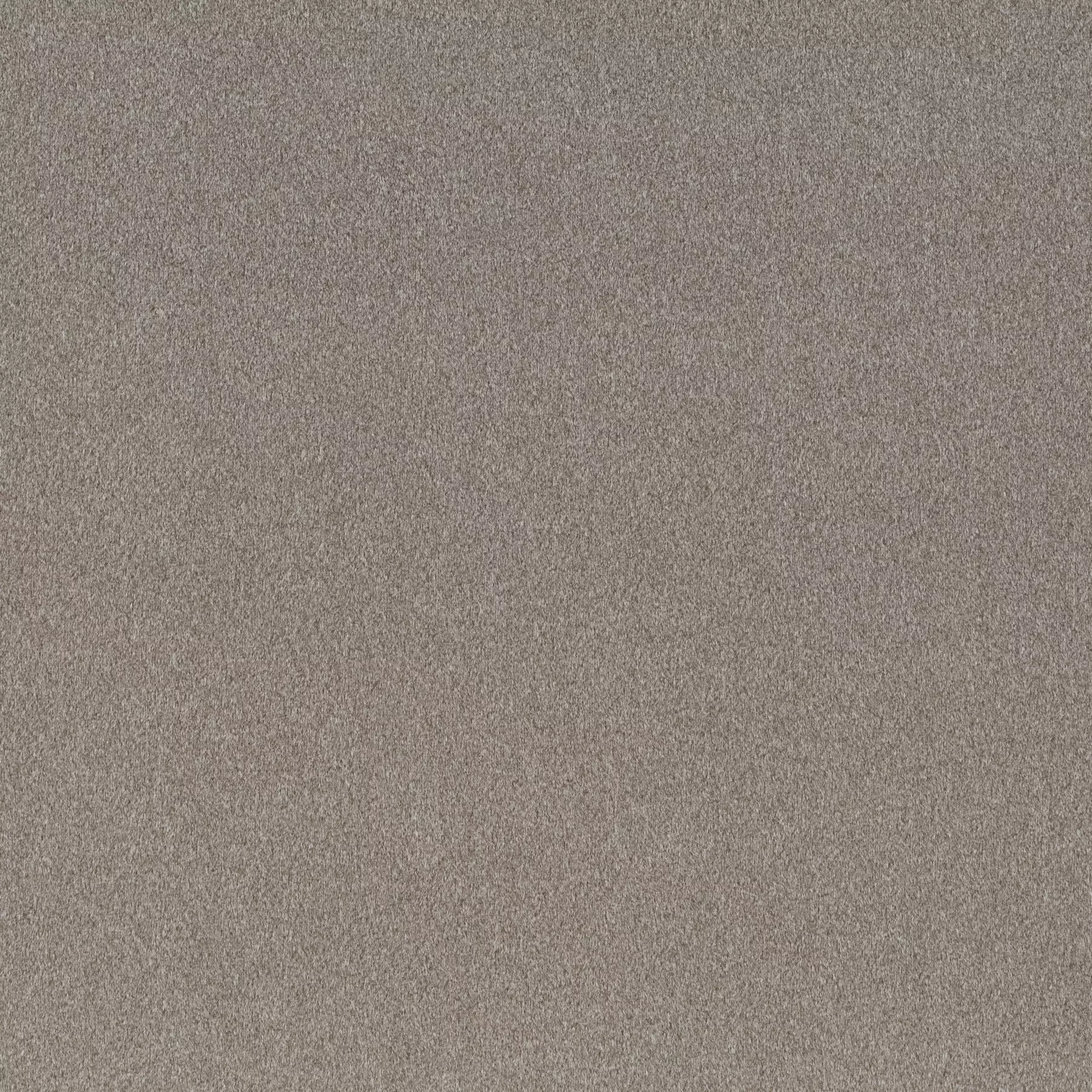 View Shallow - CH3090/024 Shallow - CH3090/024