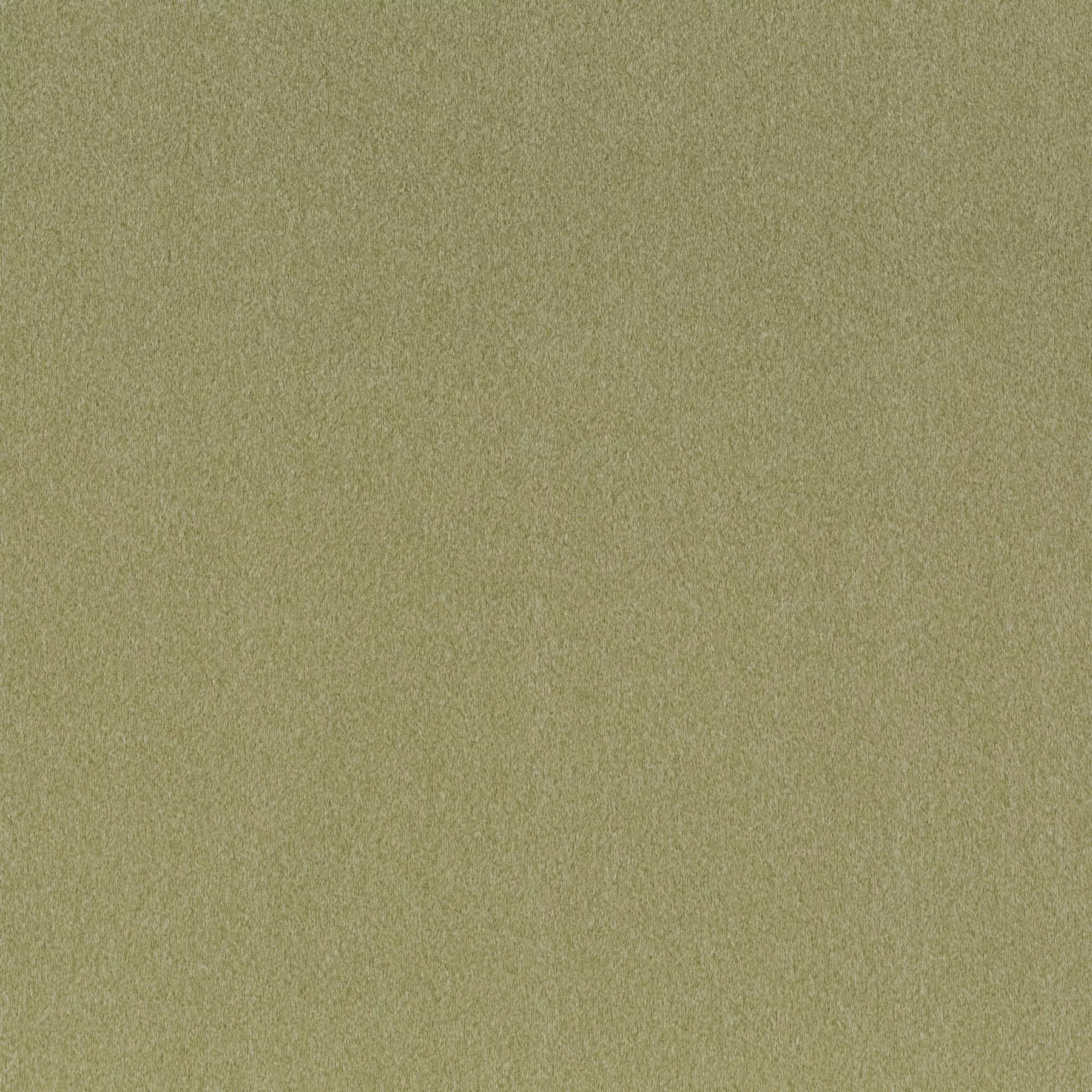 View Shallow - CH3090/031 Shallow - CH3090/031