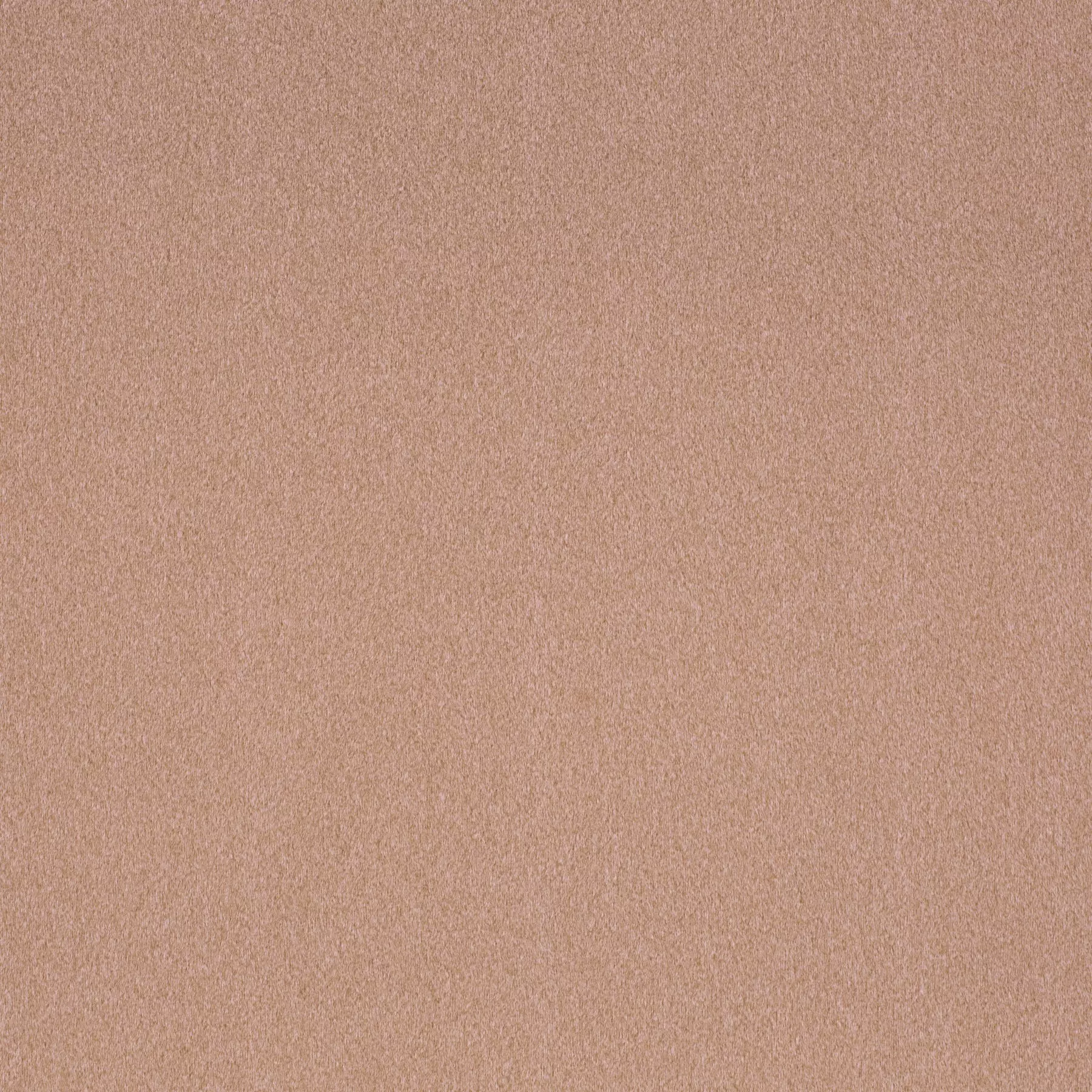 View Shallow - CH3090/061 Shallow - CH3090/061
