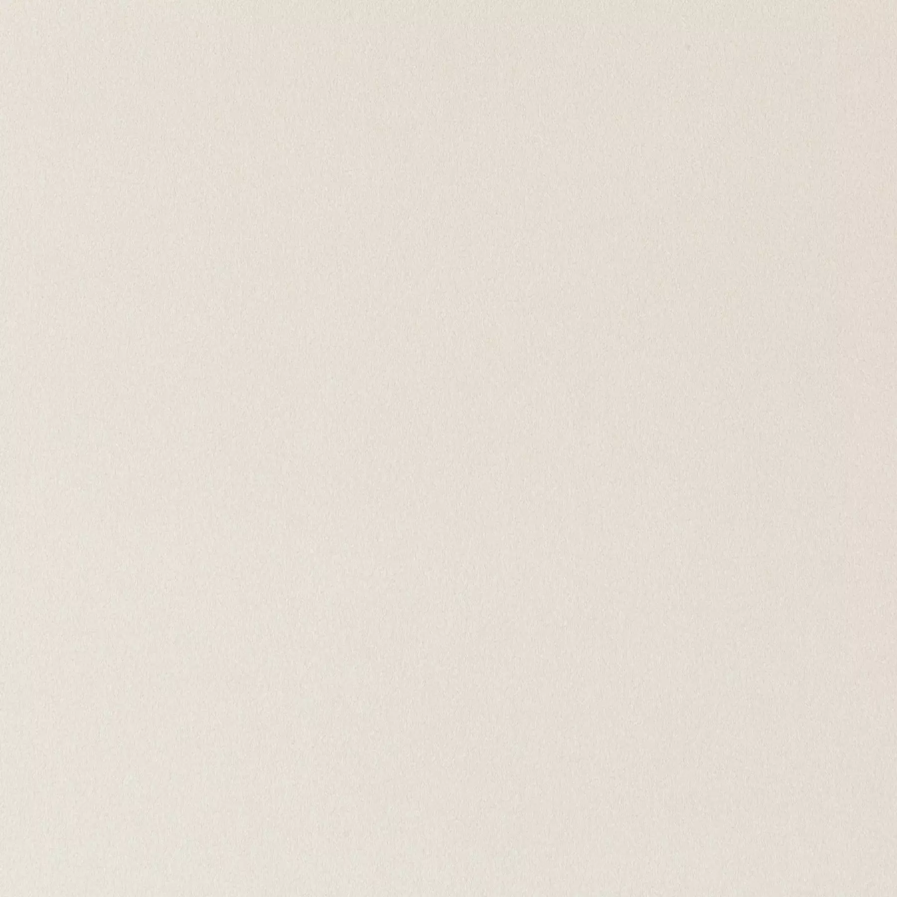 View Shallow - CH3090/071 Shallow - CH3090/071