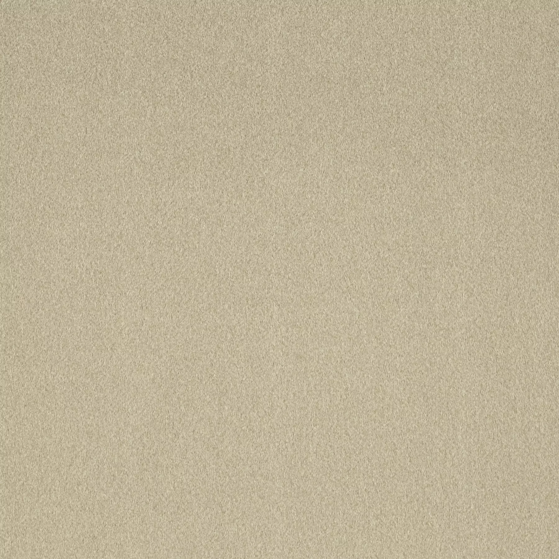 View Shallow - CH3090/073 Shallow - CH3090/073