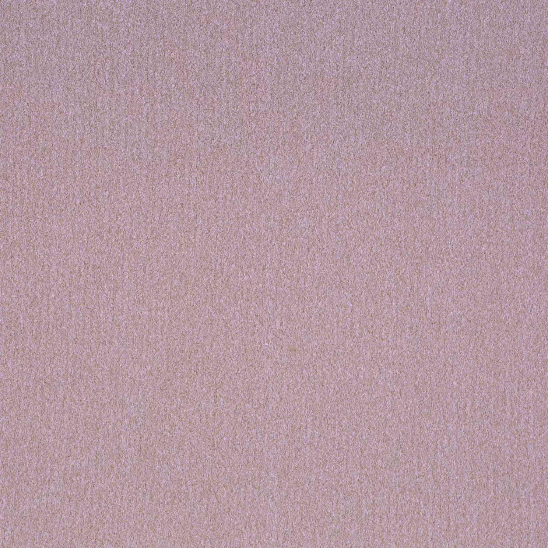View Shallow - CH3090/080 Shallow - CH3090/080