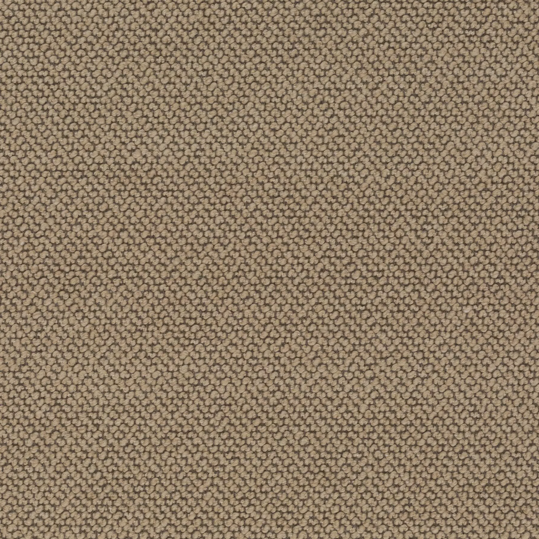 View Spellbound - CA1682/020 Spellbound - CA1682/020