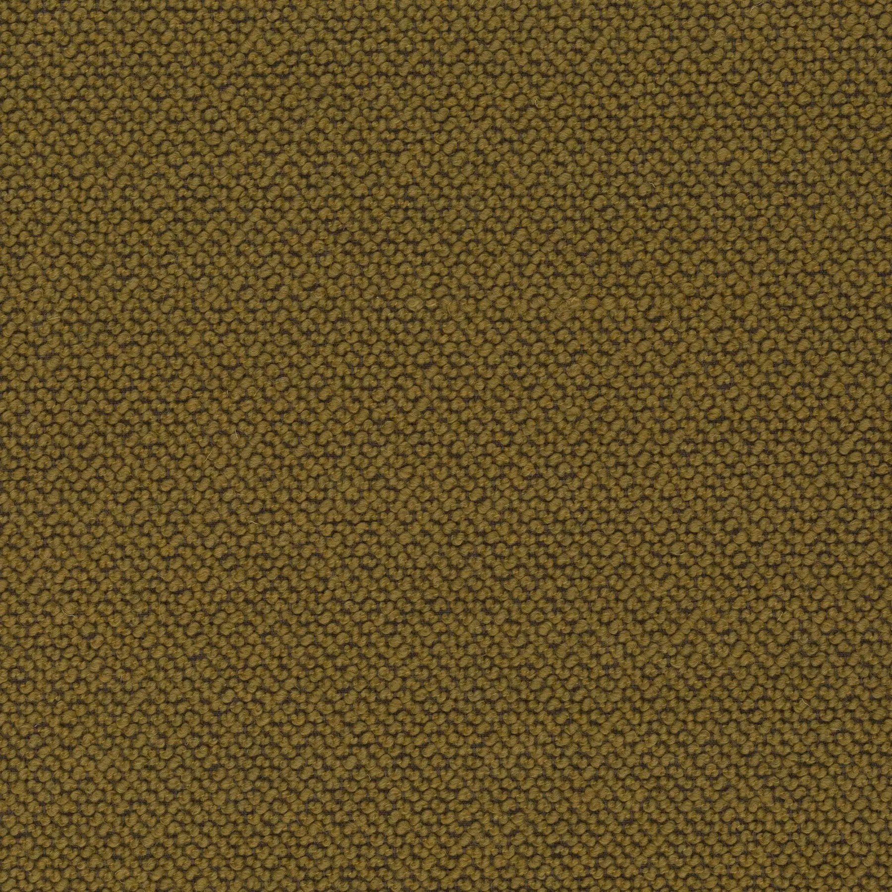 View Spellbound - CA1682/040 Spellbound - CA1682/040