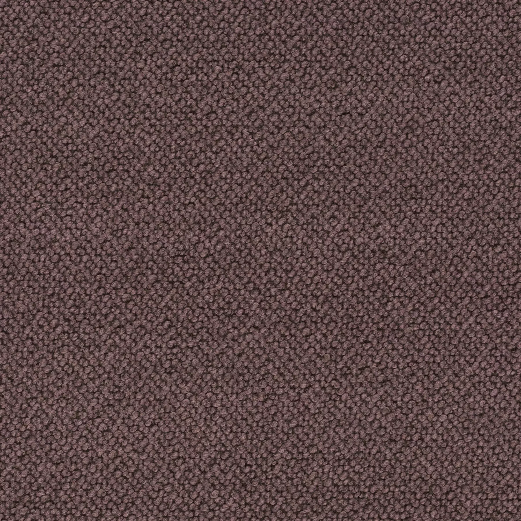 View Spellbound - CA1682/060 Spellbound - CA1682/060