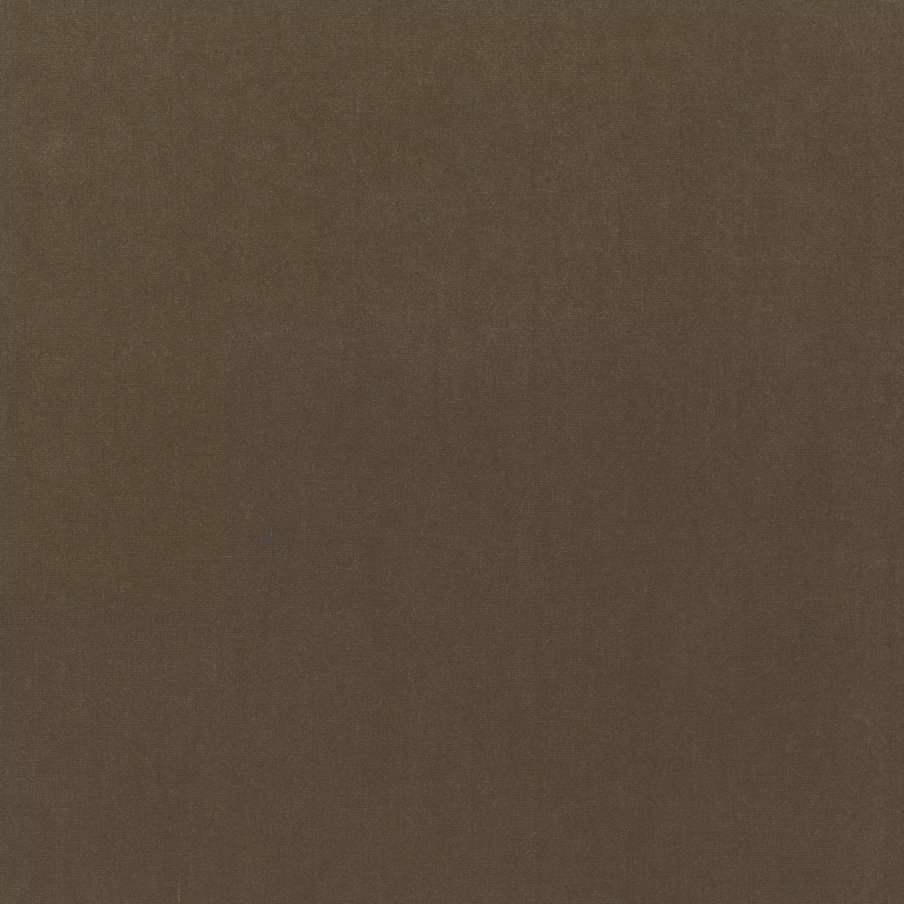 View Trophy Velvet - CA1578/021 Trophy Velvet - CA1578/021