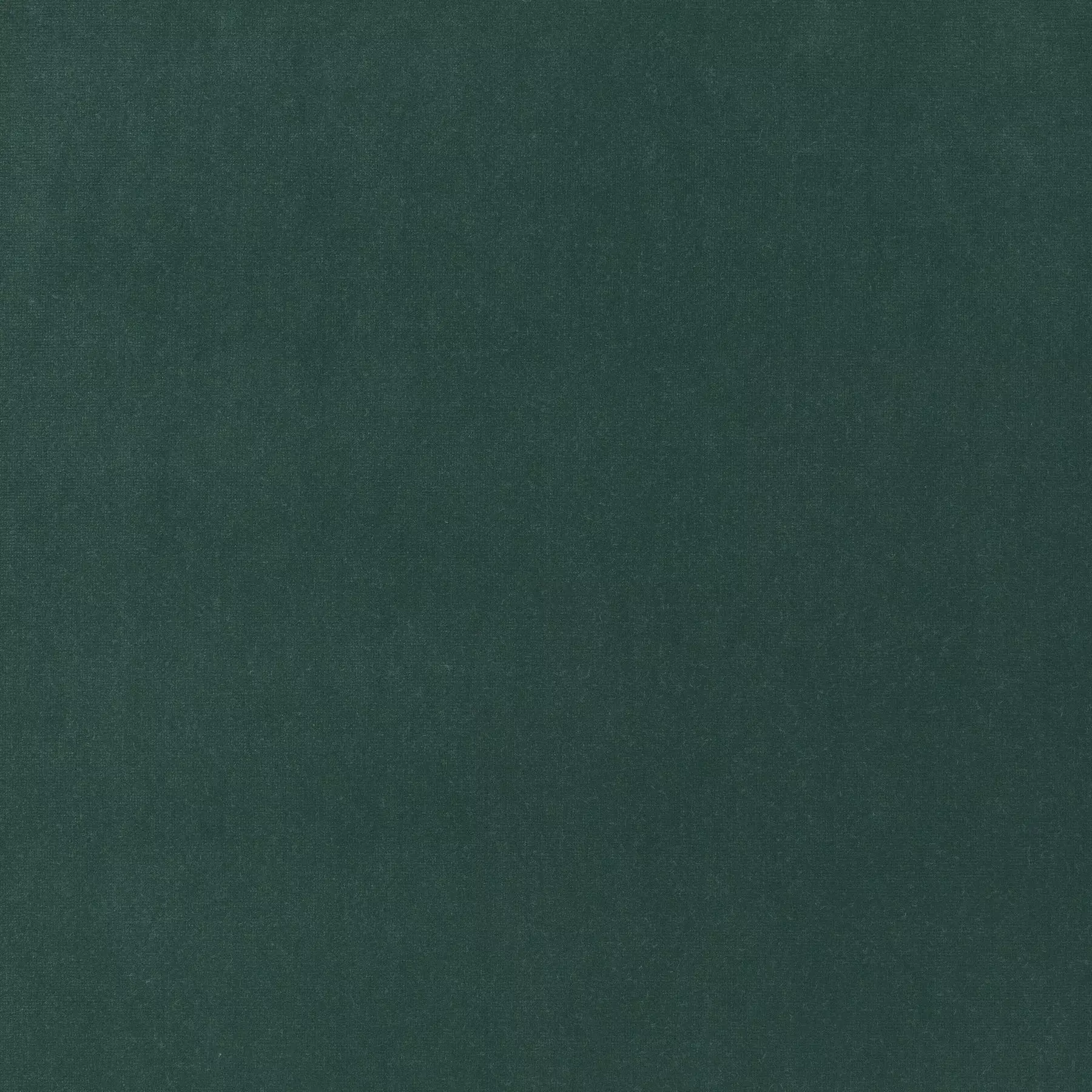 View Trophy Velvet - CA1578/035 Trophy Velvet - CA1578/035