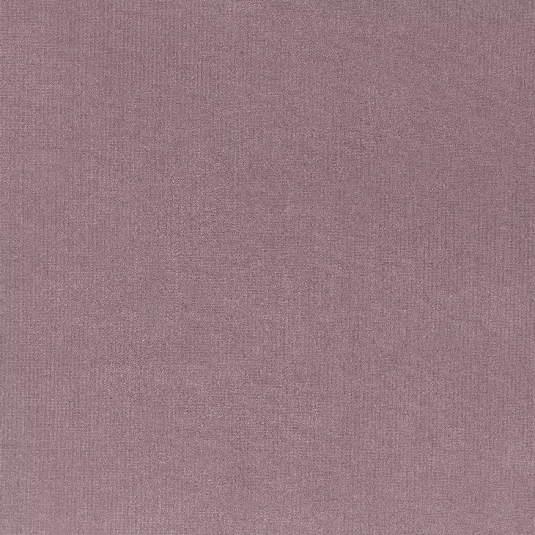 View Trophy Velvet - CA1578/061 Trophy Velvet - CA1578/061