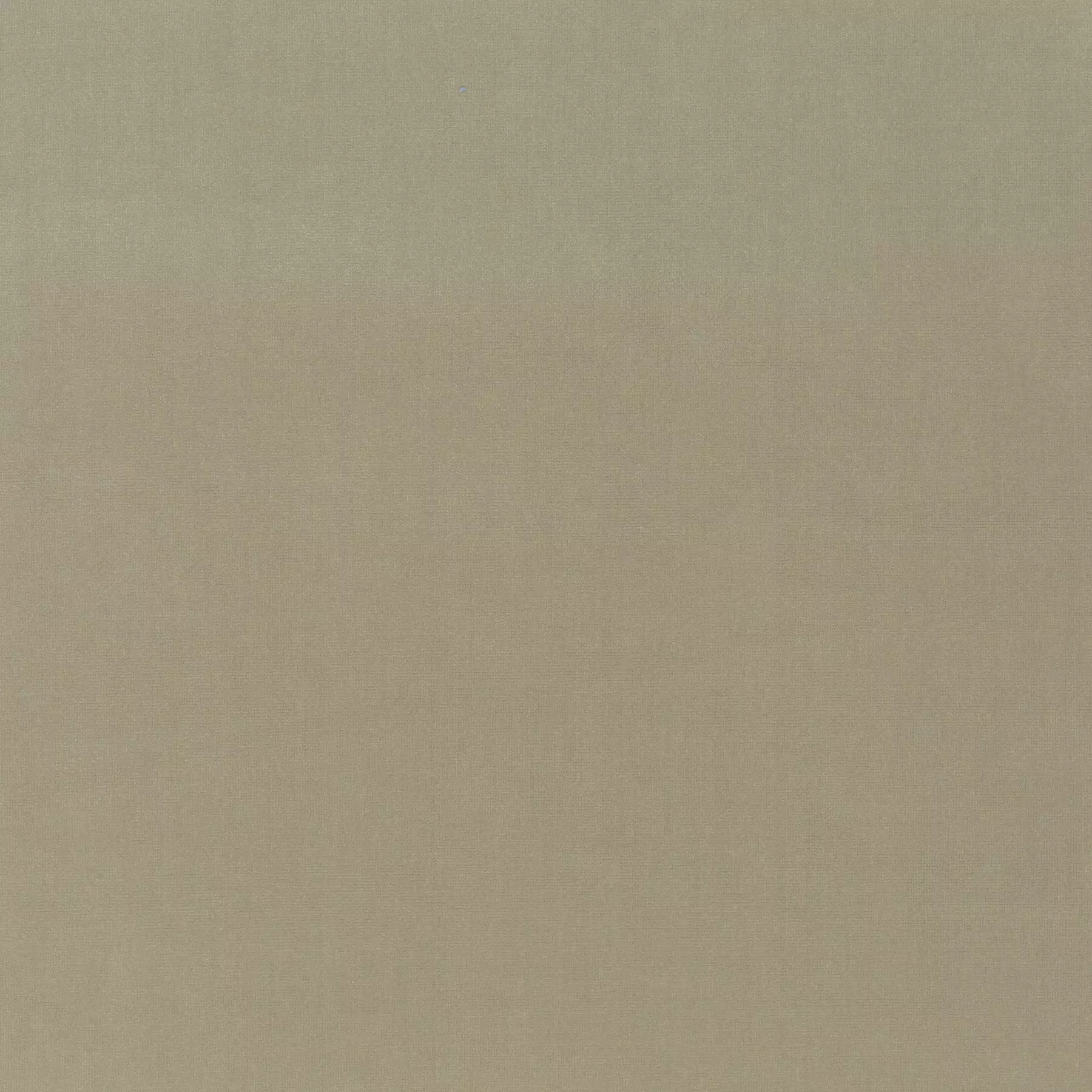 View Trophy Velvet - CA1578/074 Trophy Velvet - CA1578/074