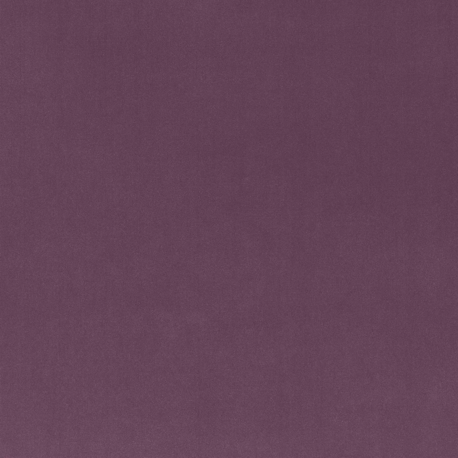 View Trophy Velvet - CA1578/083 Trophy Velvet - CA1578/083