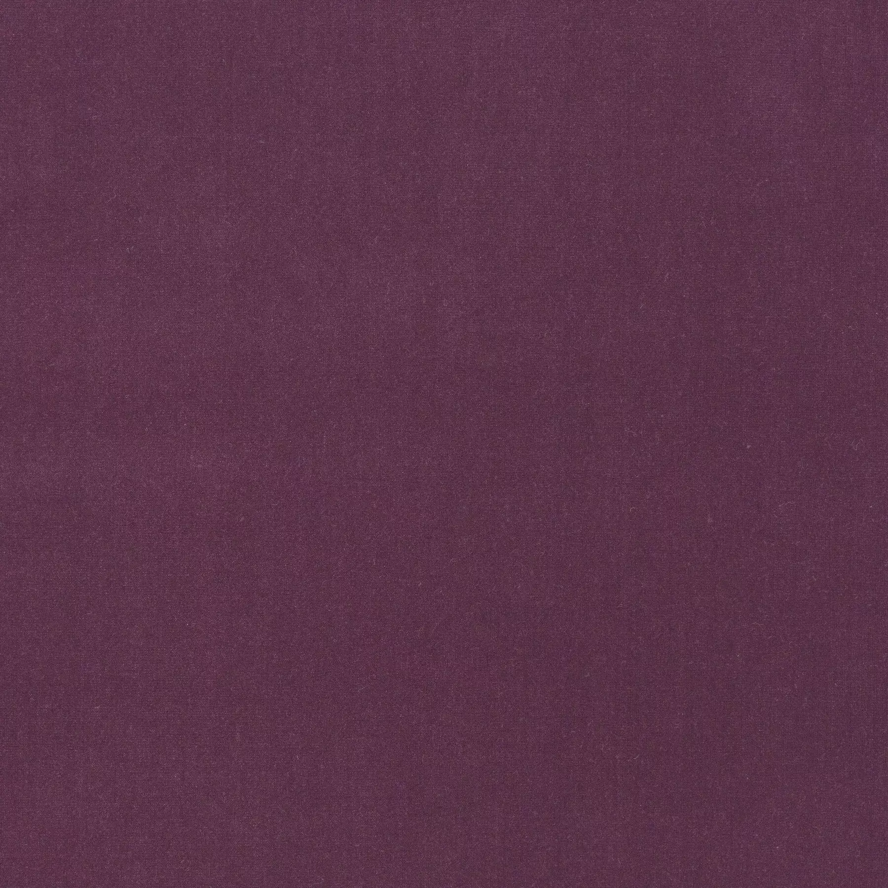 View Trophy Velvet - CA1578/084 Trophy Velvet - CA1578/084