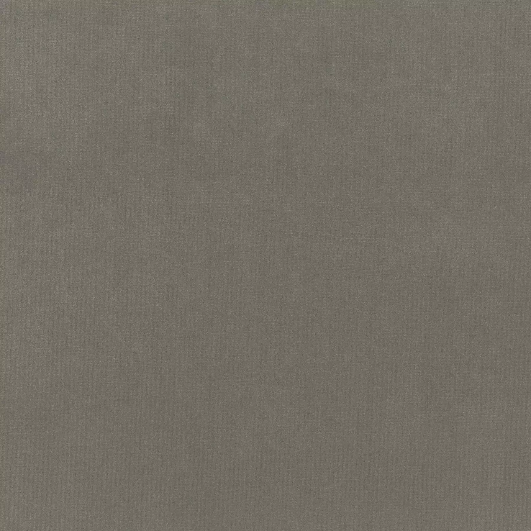 View Trophy Velvet - CA1578/093 Trophy Velvet - CA1578/093