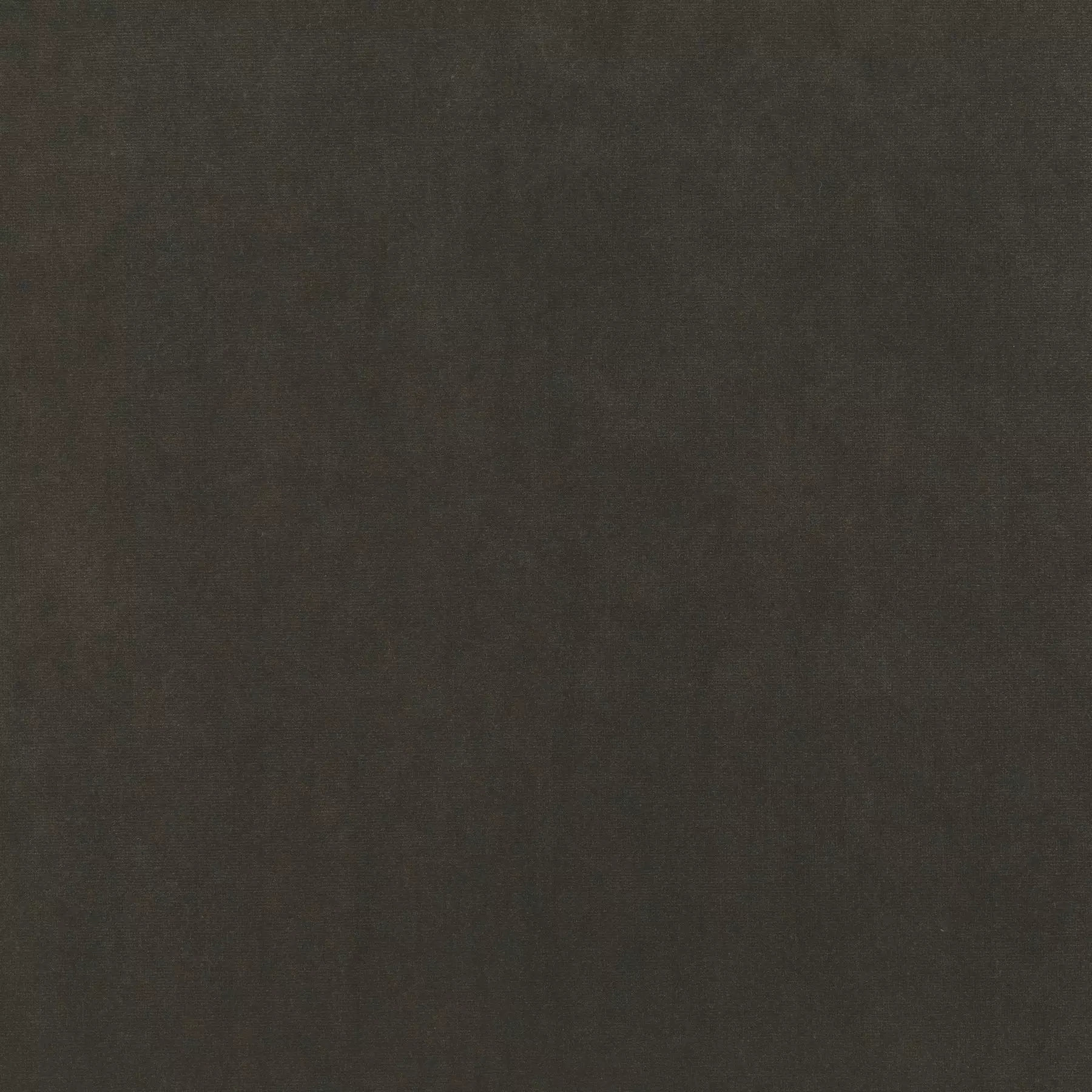 View Trophy Velvet - CA1578/095 Trophy Velvet - CA1578/095