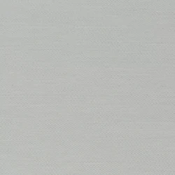 Senses - CH9123/091