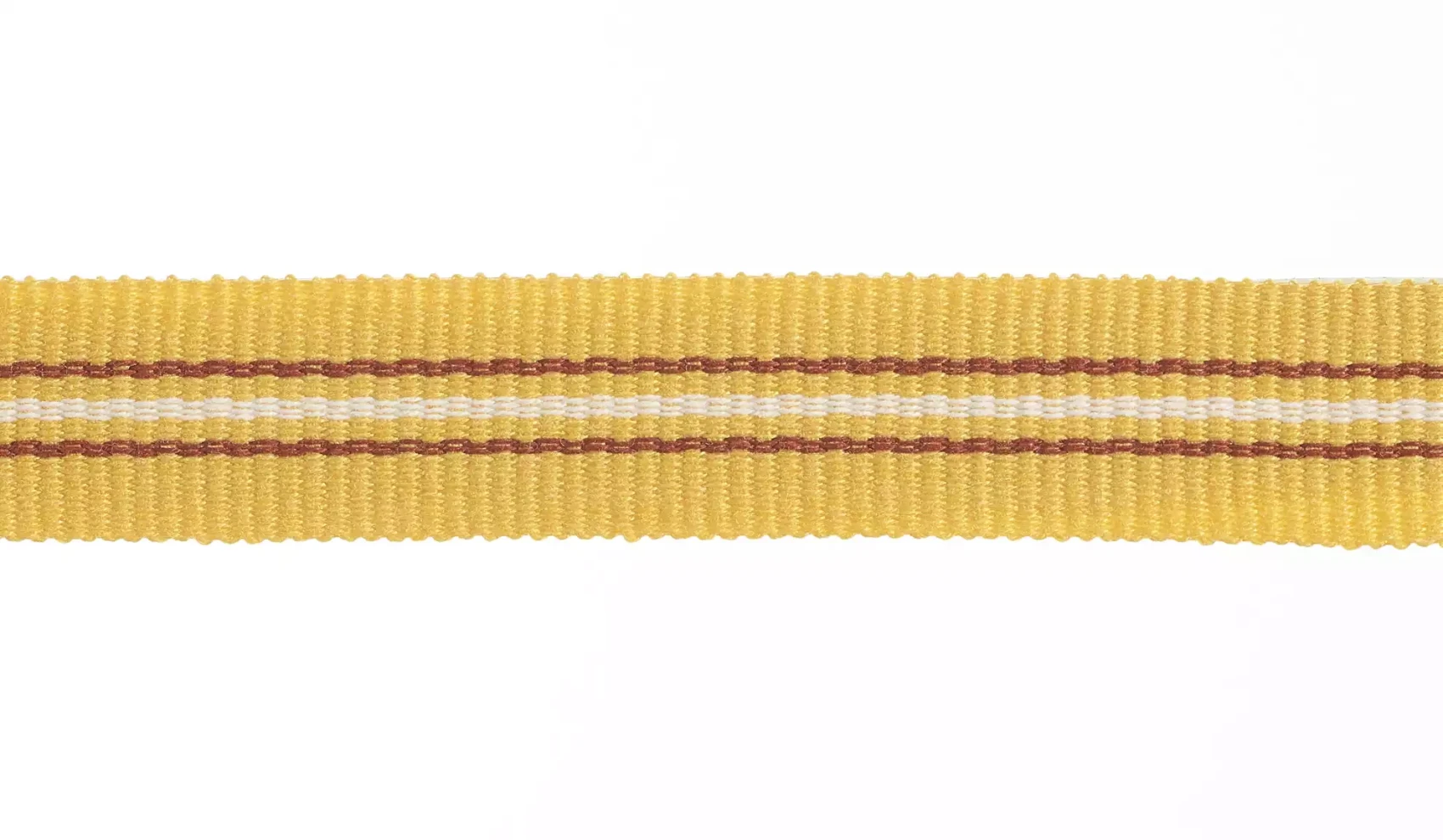 32024 Palma Braid 20mm | 32024.9100