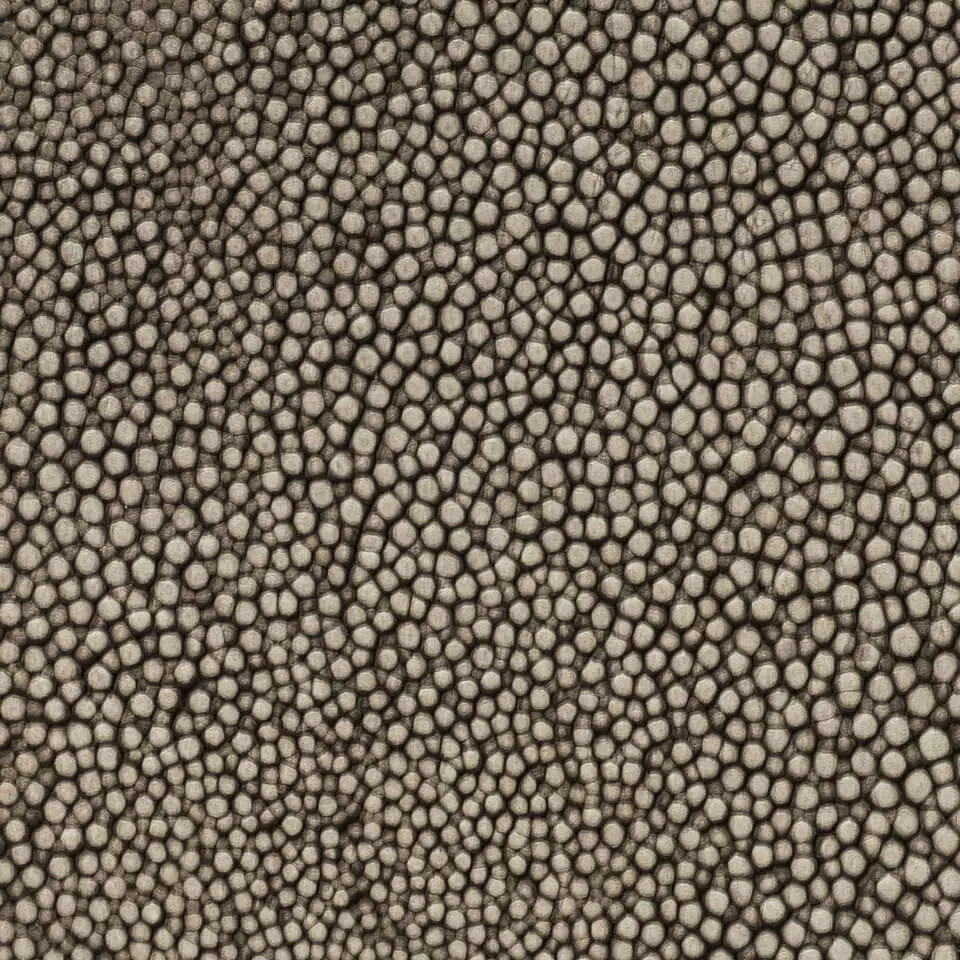 View Galuchat Shagreen - Tortora Galuchat Shagreen - Tortora