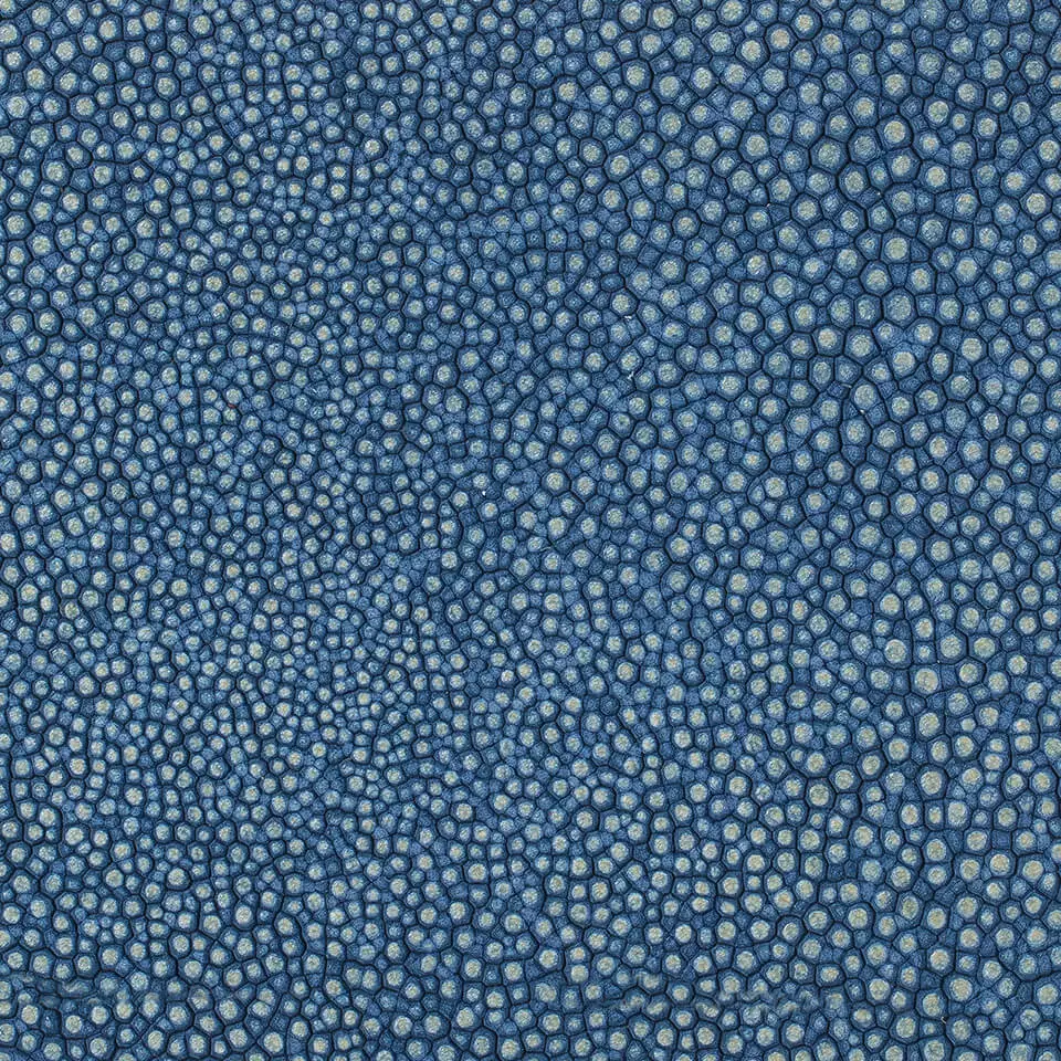 View Galuchat Shagreen - Navy Galuchat Shagreen - Navy