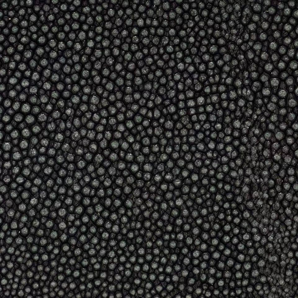 View Galuchat Shagreen - Nero Galuchat Shagreen - Nero