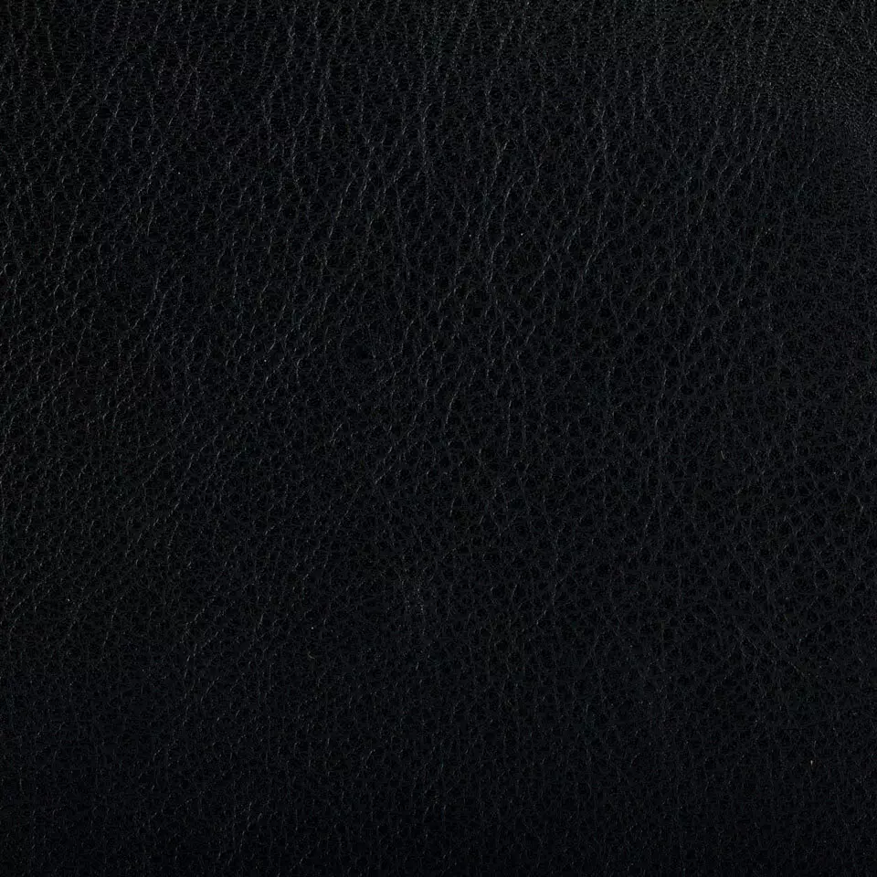 View Melody | Black Melody | Black