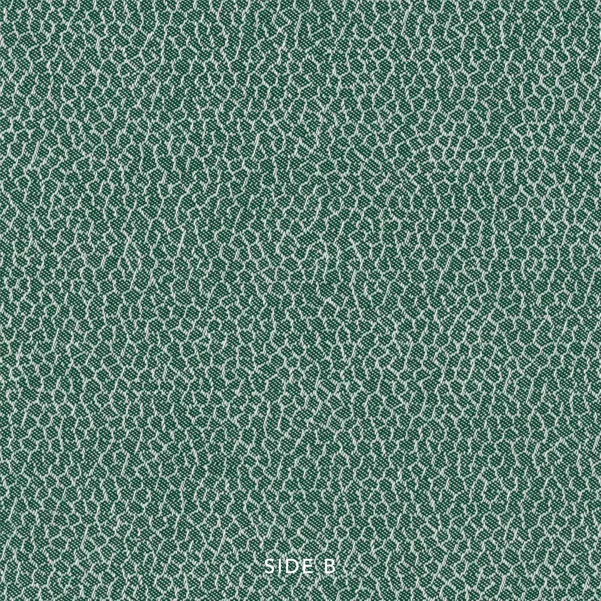 View Spirit | Forest_sideb Spirit | Forest_sideb