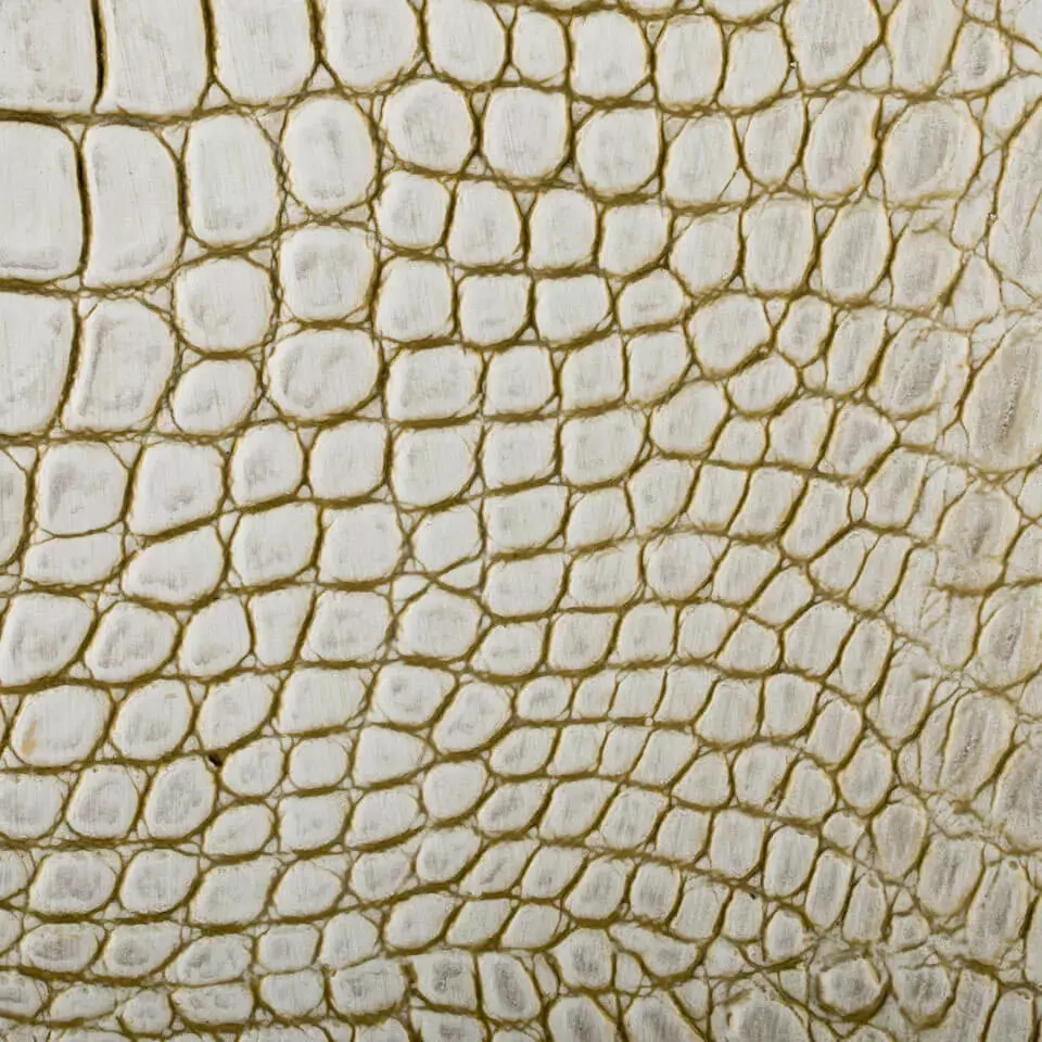 View Cocco - Pavoni Gold Cocco - Pavoni Gold