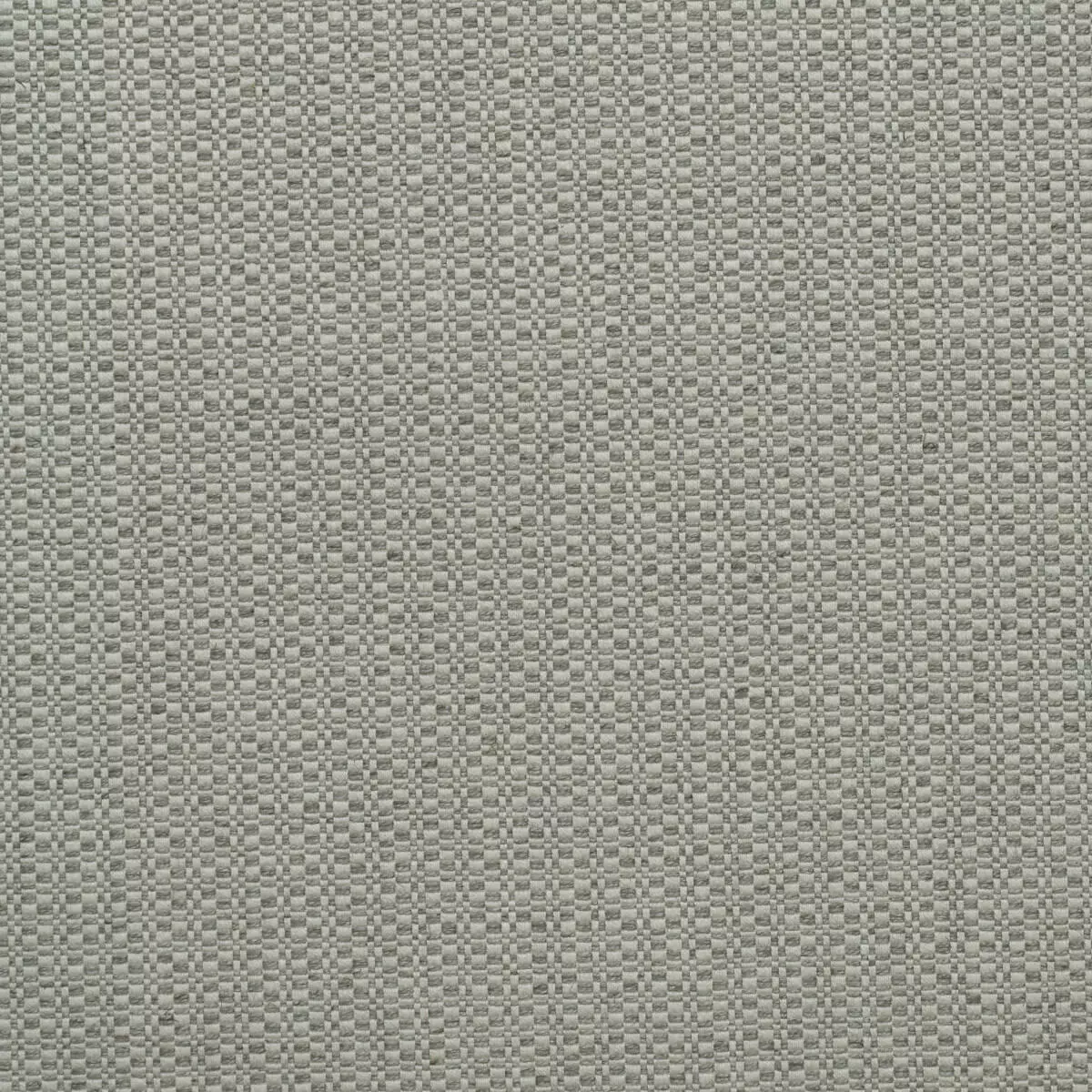View Birch - Fog Birch - Fog