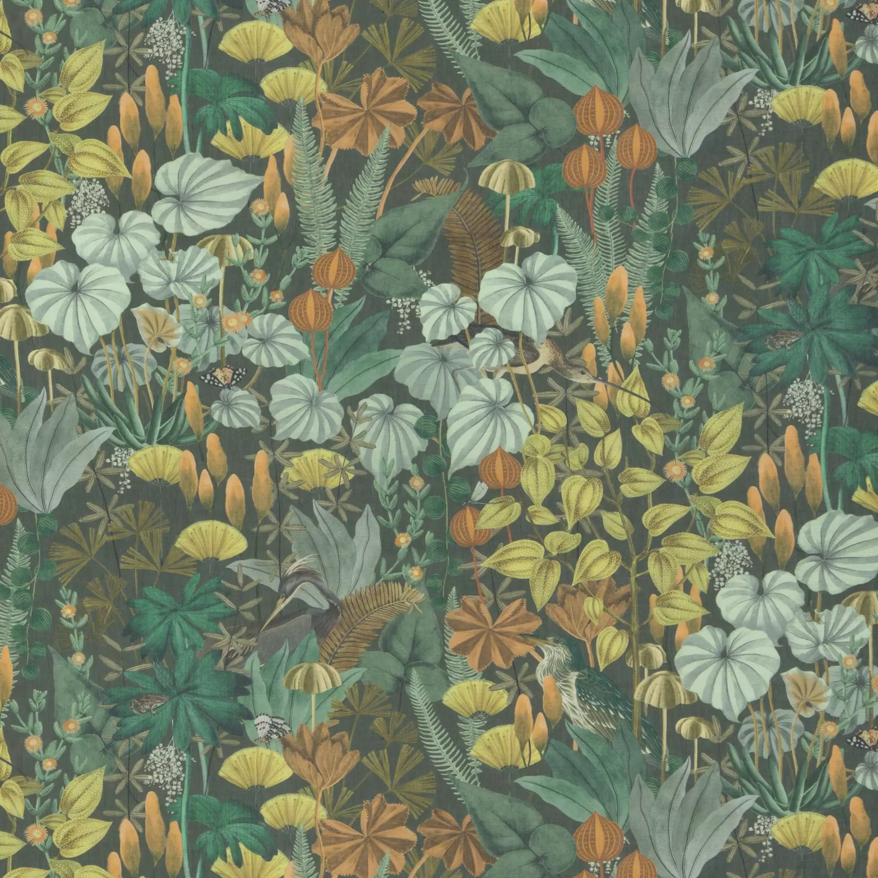 Sweet Destiny - CH3244/040