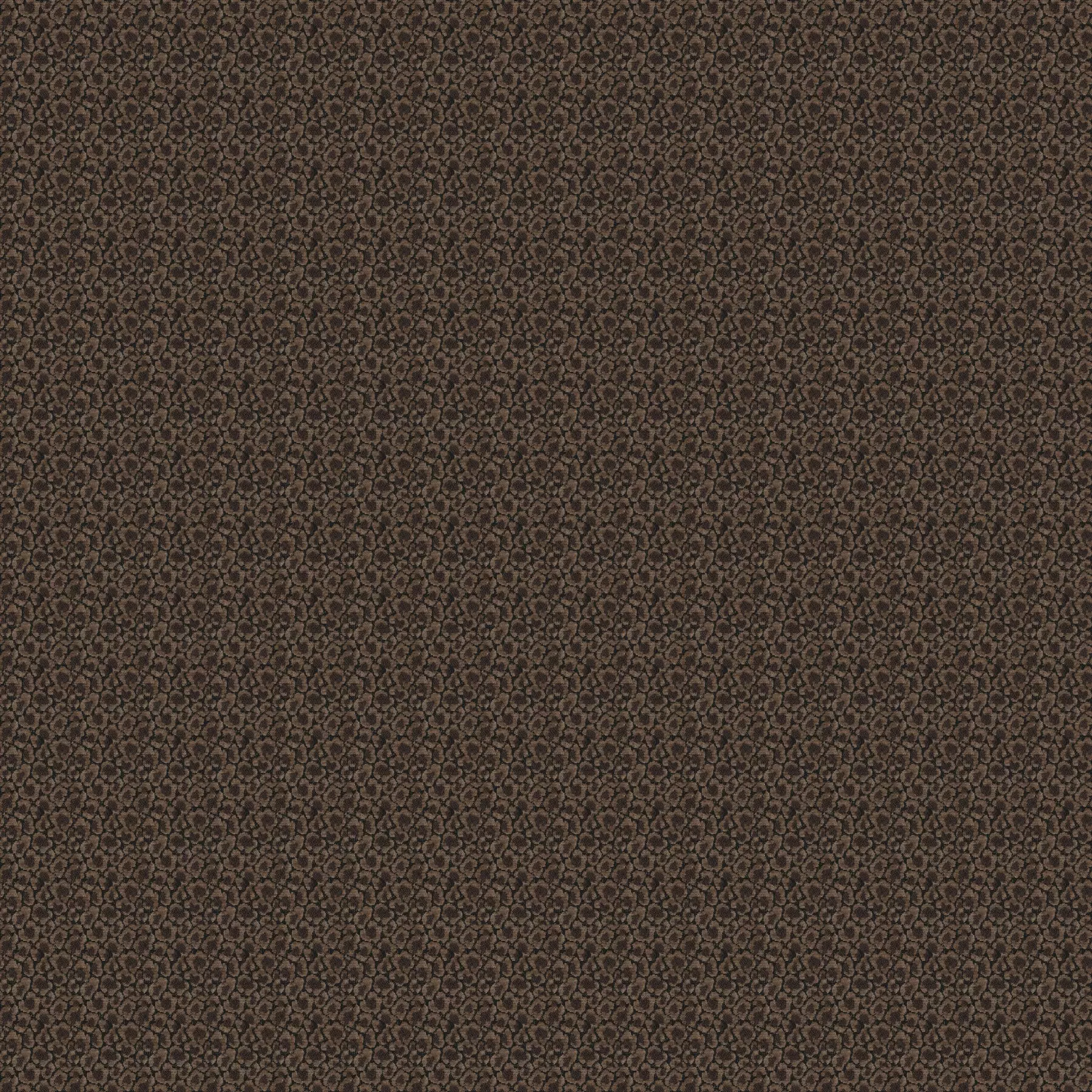 Wild Heart - CH3228/021